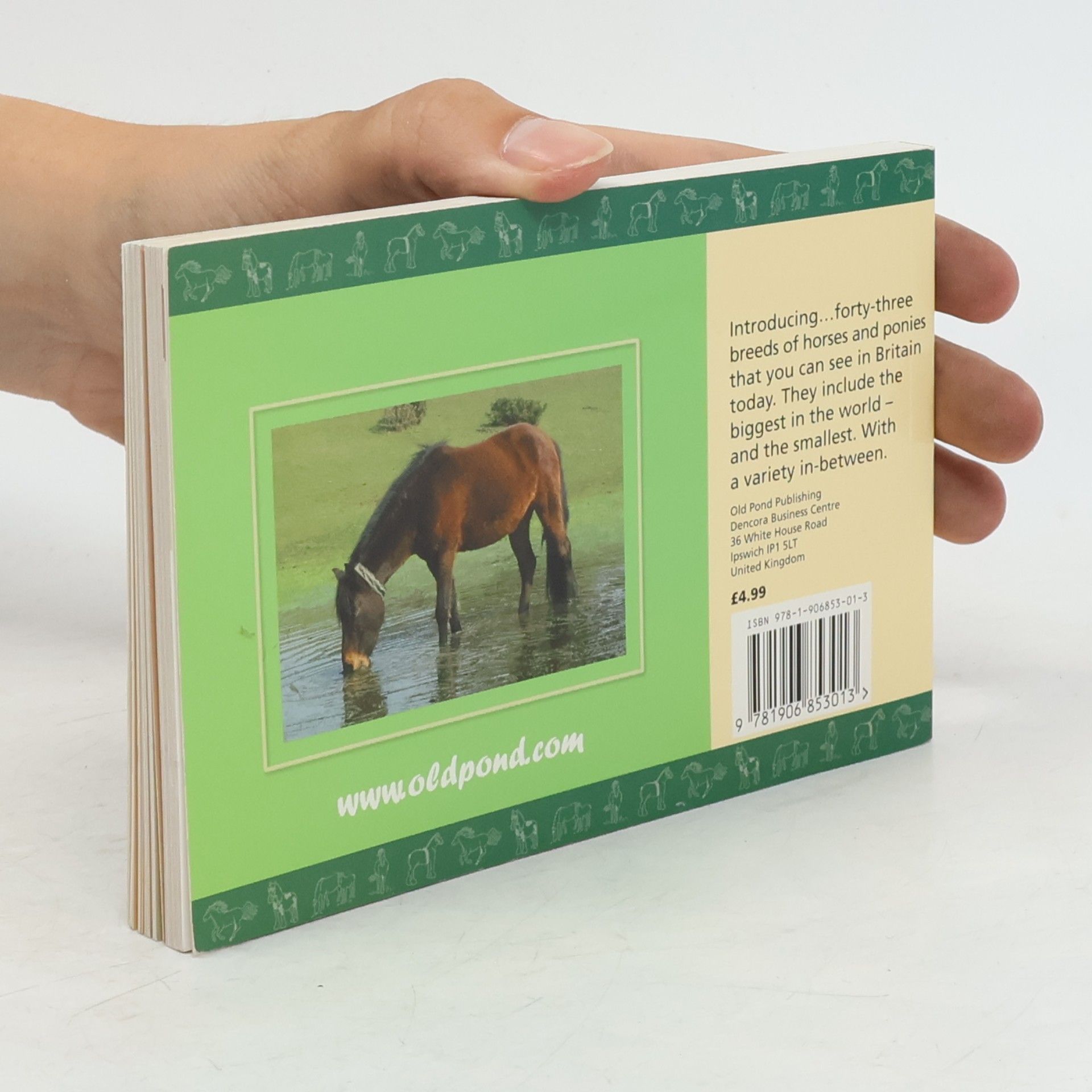 Jack Byard Know Your Horses