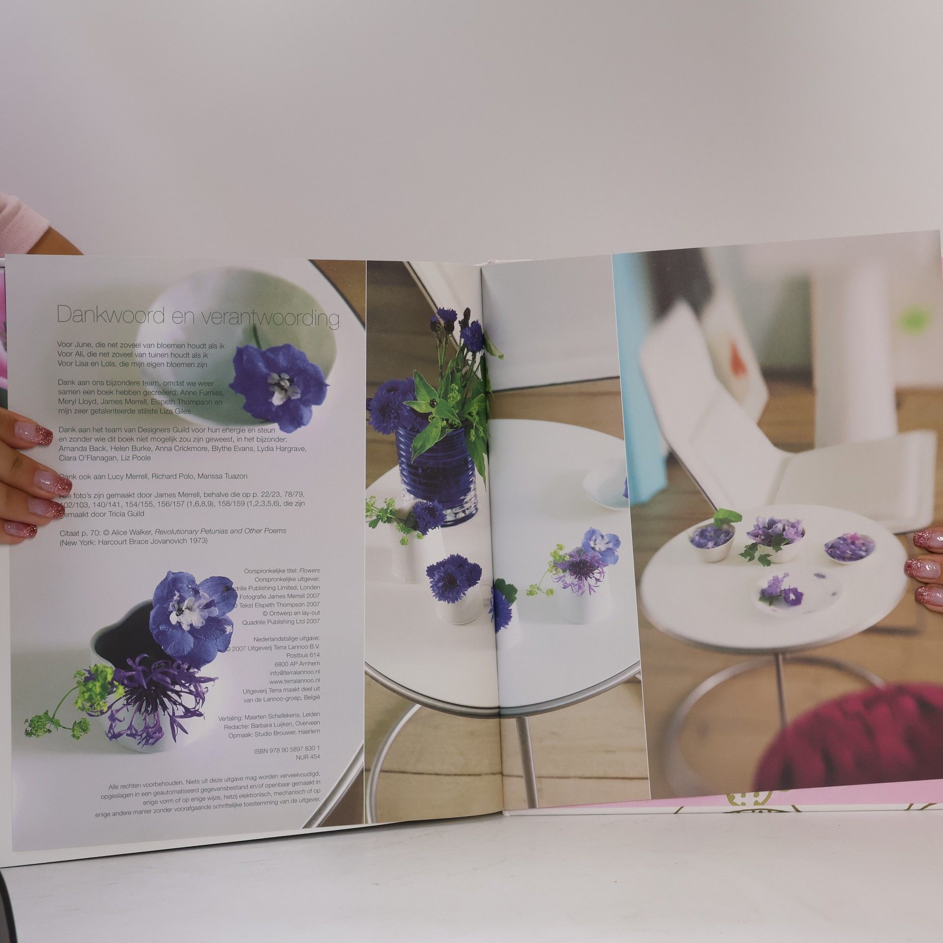Autorenkollektiv Bloemen van Tricia Guild