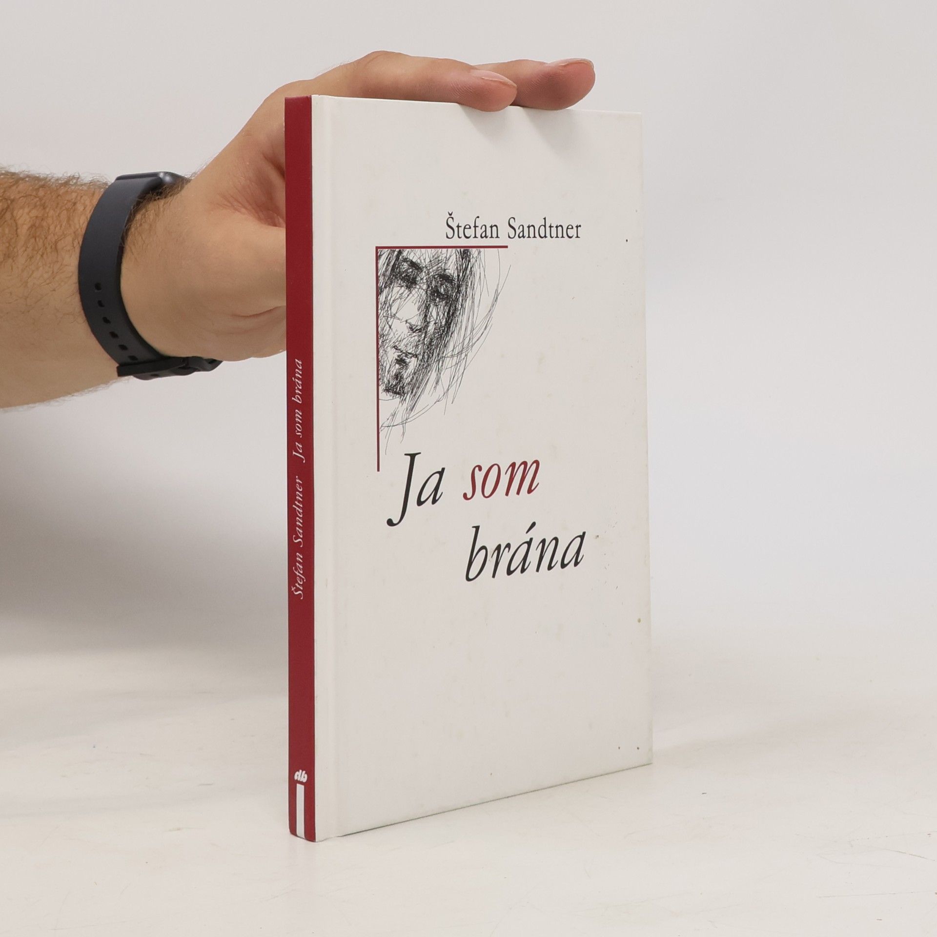 Štefan Sandtner Ja som brána