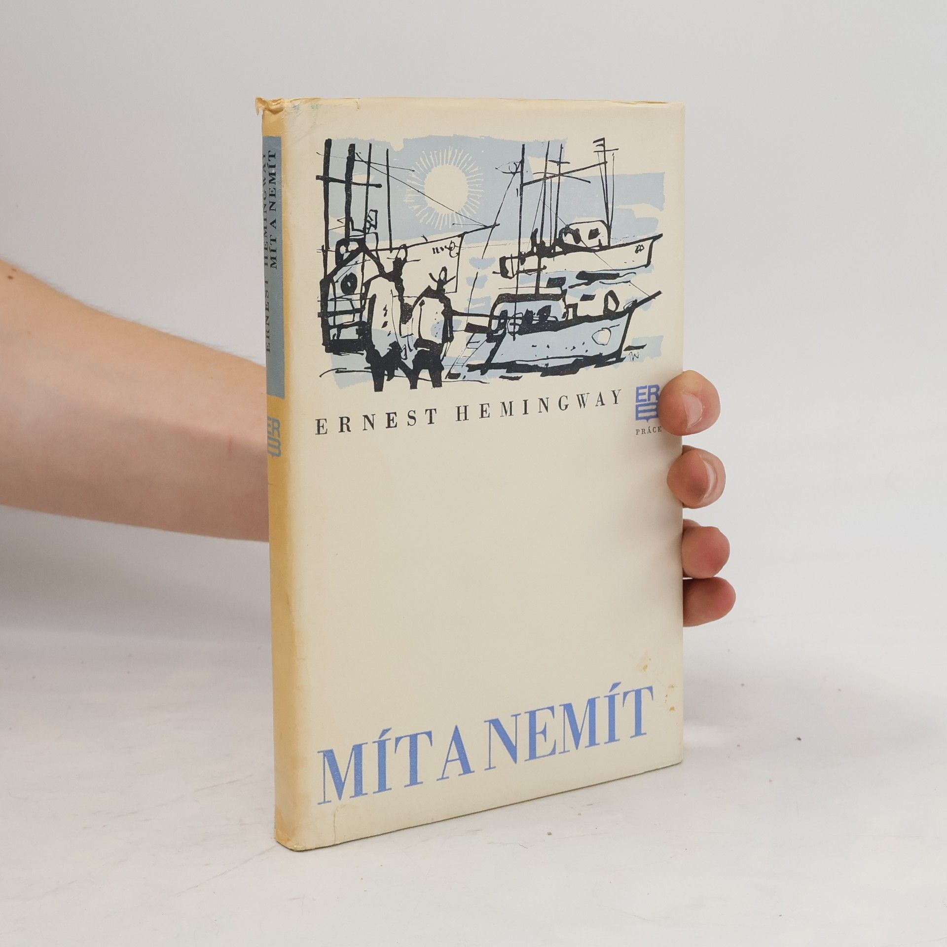 Ernest Hemingway Mít a nemít