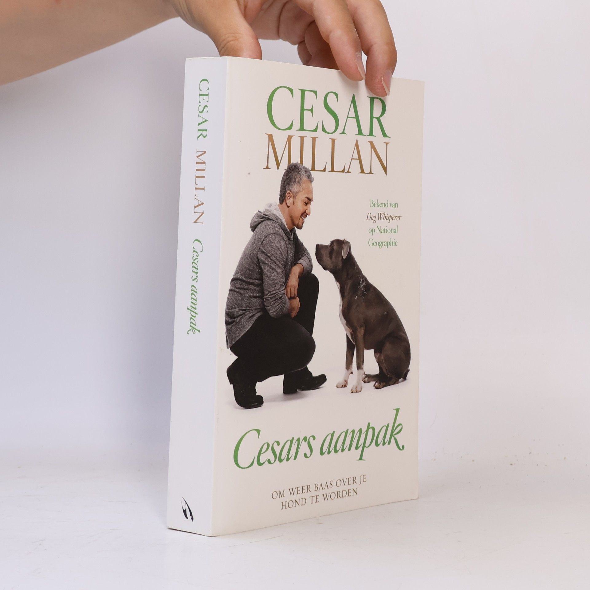 Melissa Jo Peltier Cesars aanpak