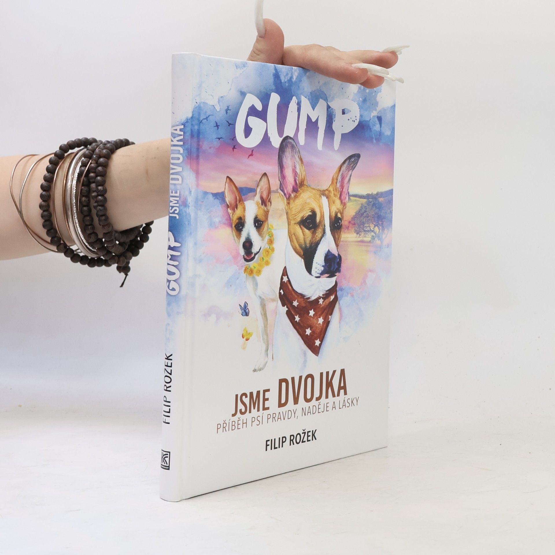 Filip Rožek Gump jsme dvojka: Příběh psí pravdy, naděje a lásky