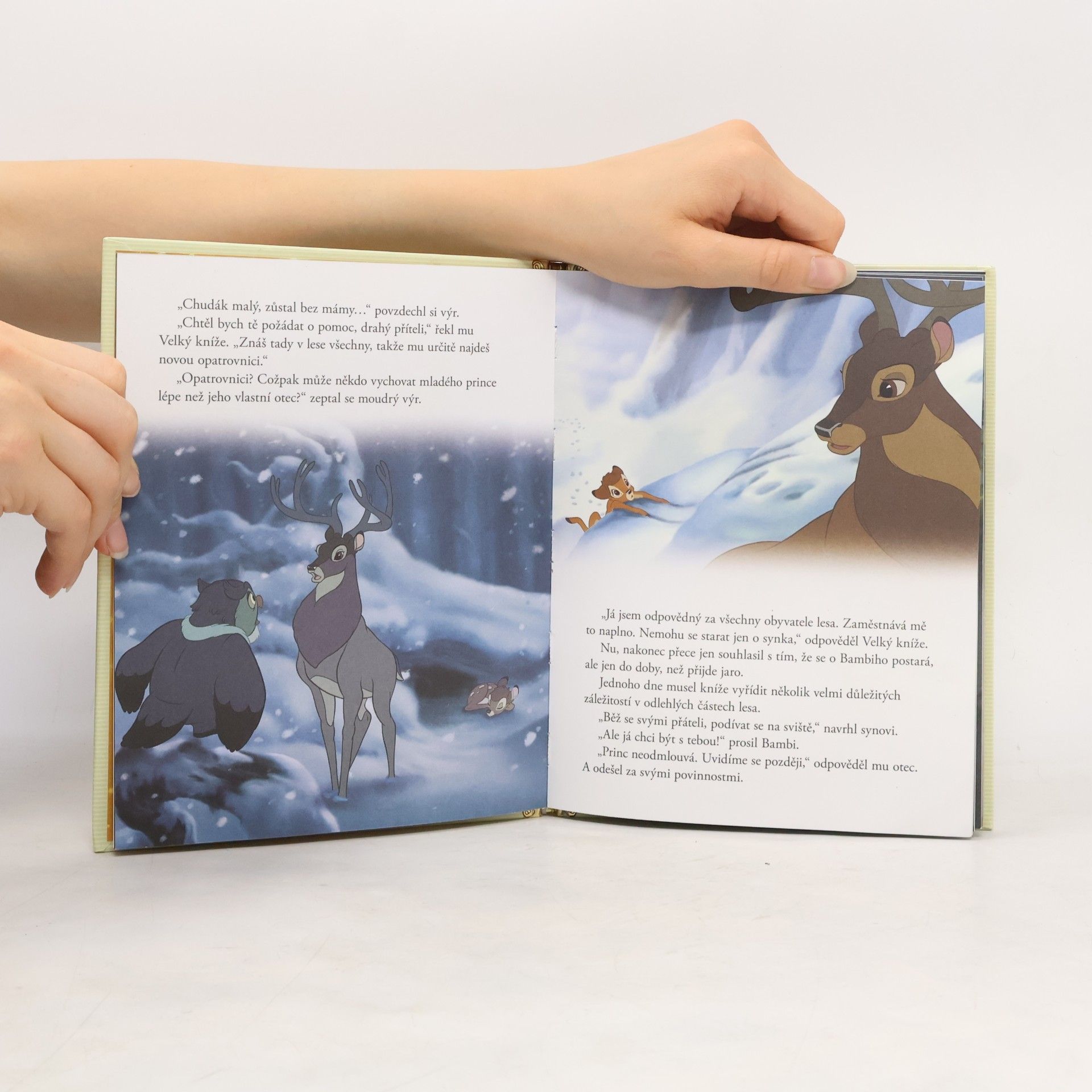 Autorenkollektiv Zlatá sbírka pohádek 60. Bambi 2. Velký kníže lesa