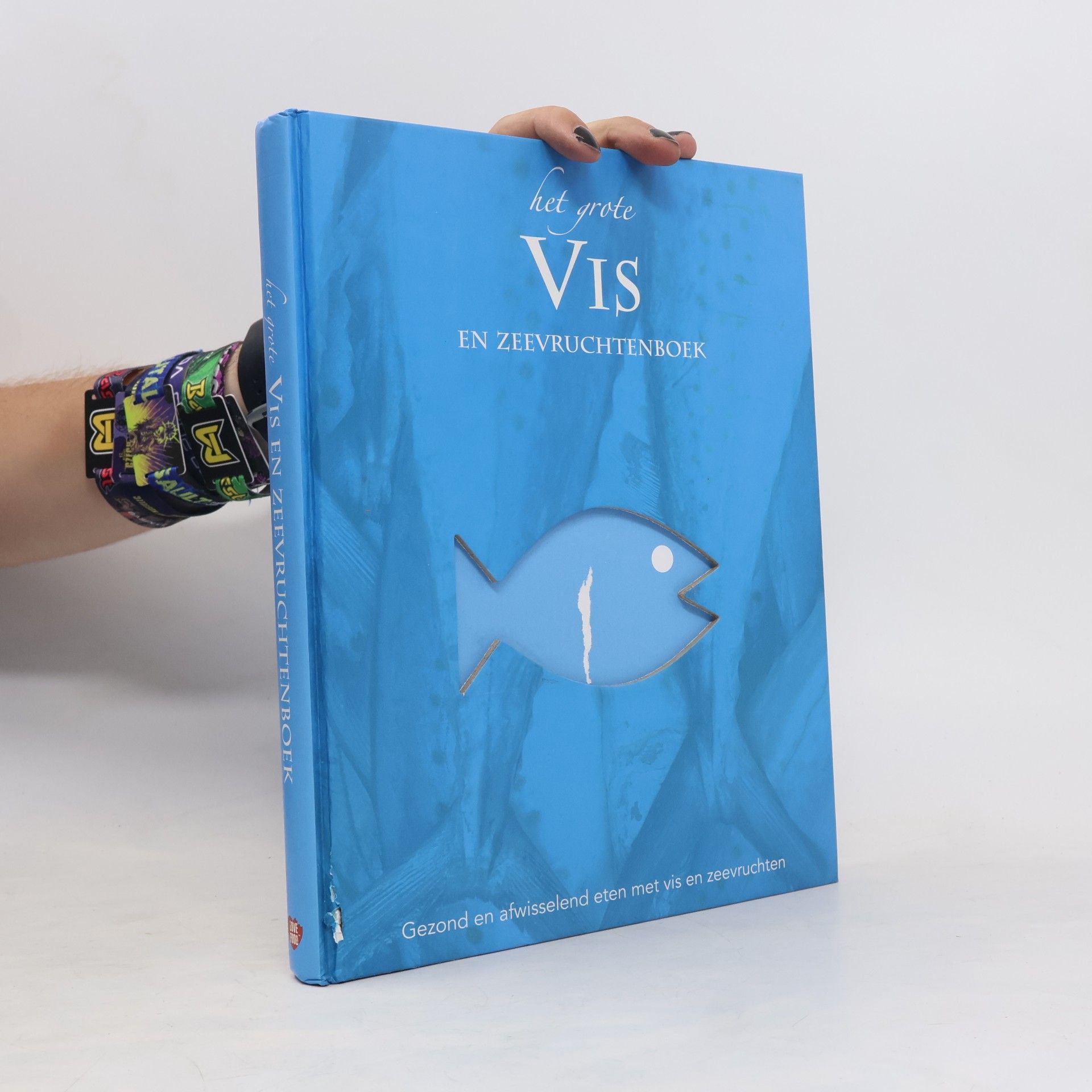 Anna Hunter-Downing Het grote vis en zeevruchtenboek