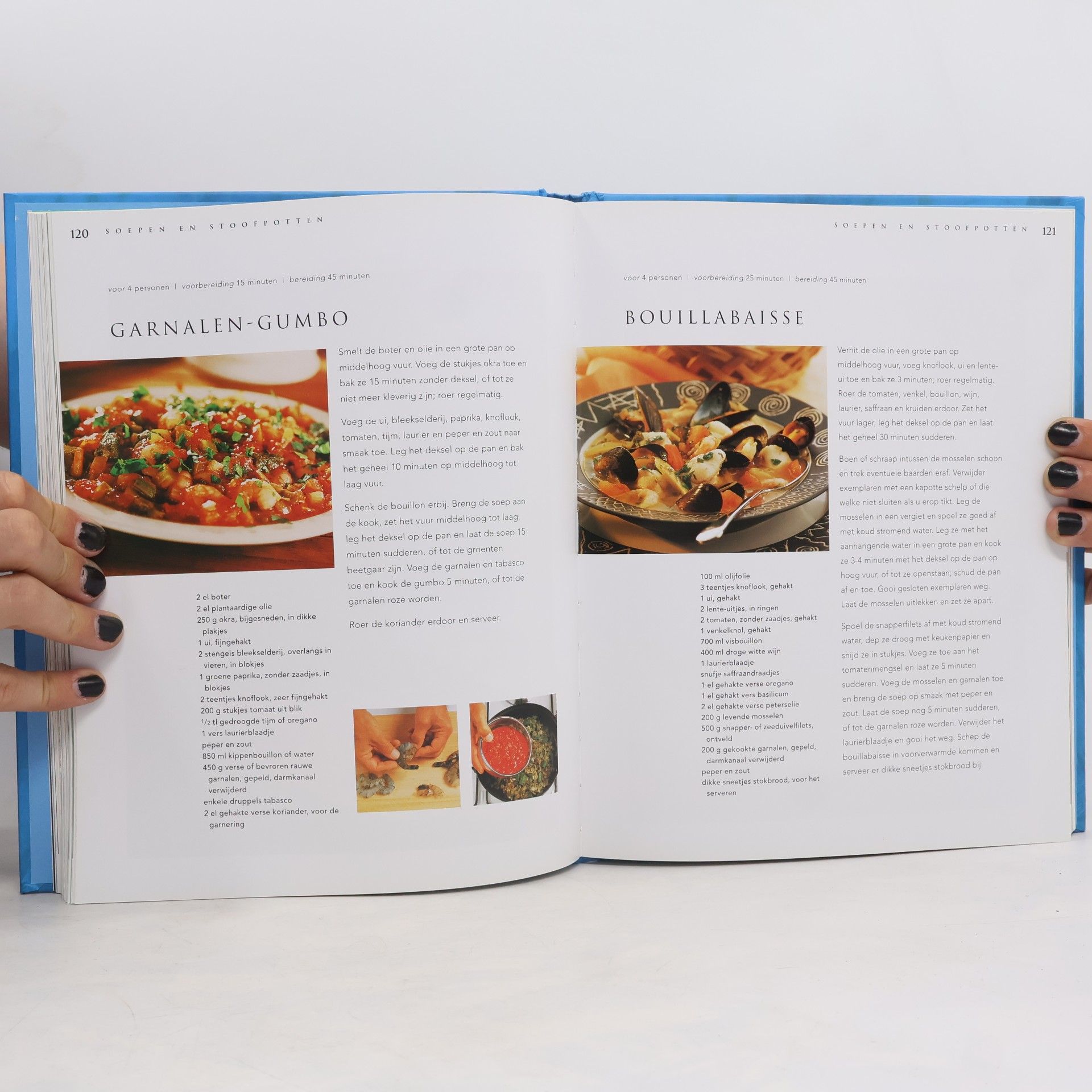 Tom Kitch Het grote vis en zeevruchtenboek
