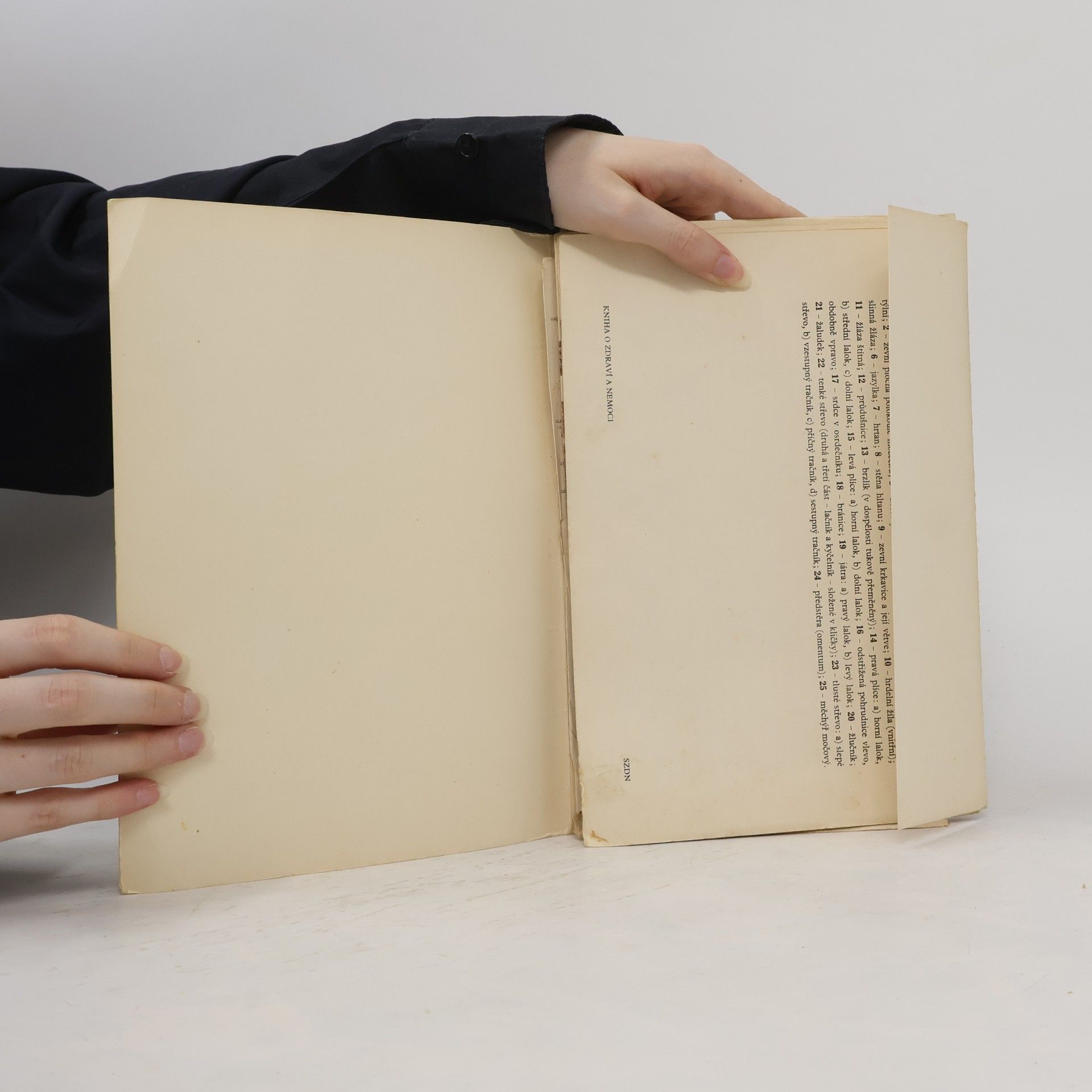 Radomír Čihák Anatomické tabule I-VIII