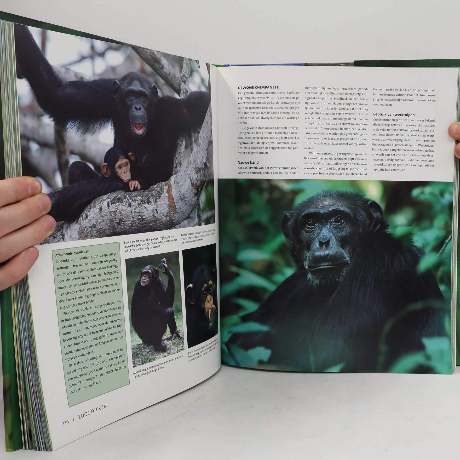 Willi Dolder Bedreigde dieren