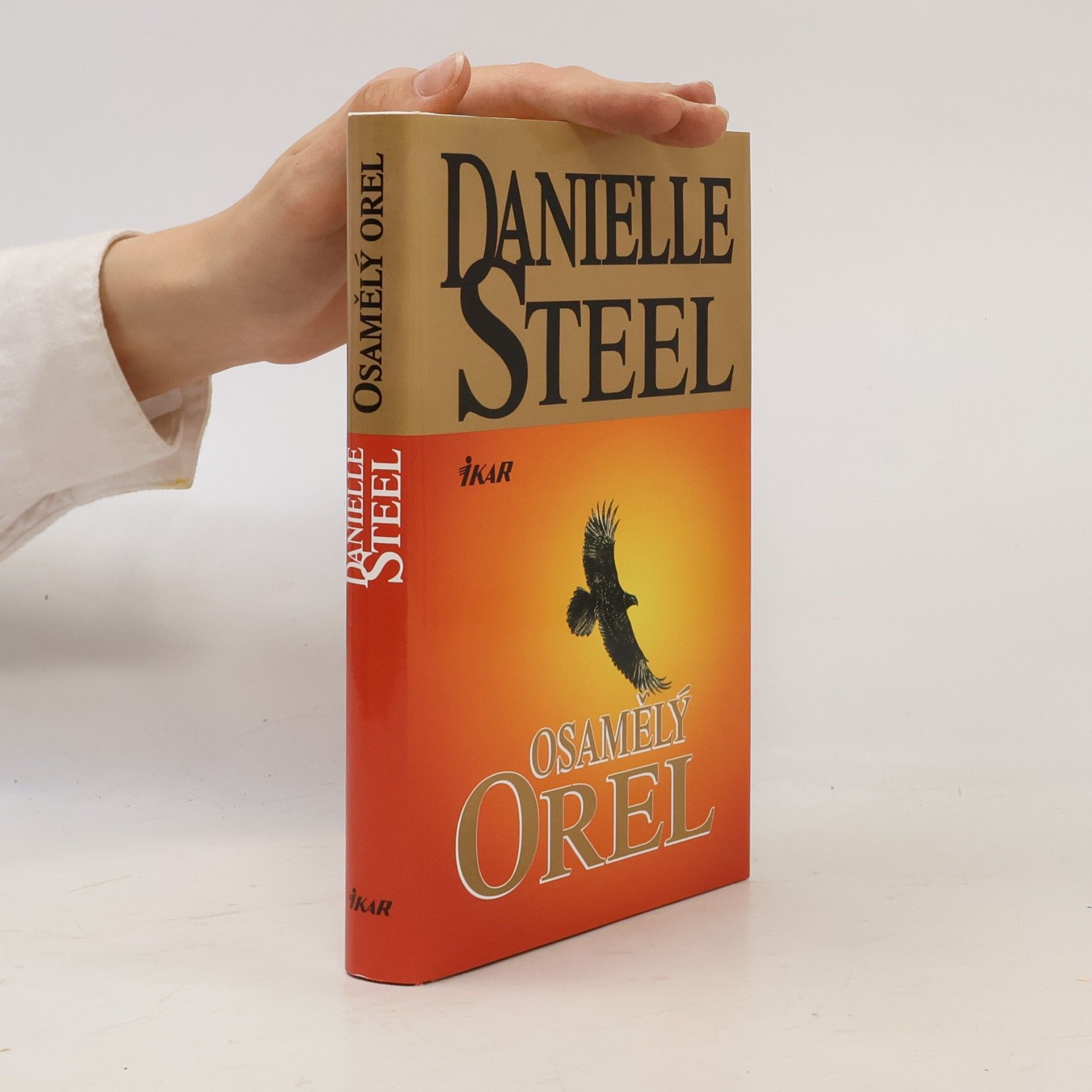 Danielle Steel Osamělý orel