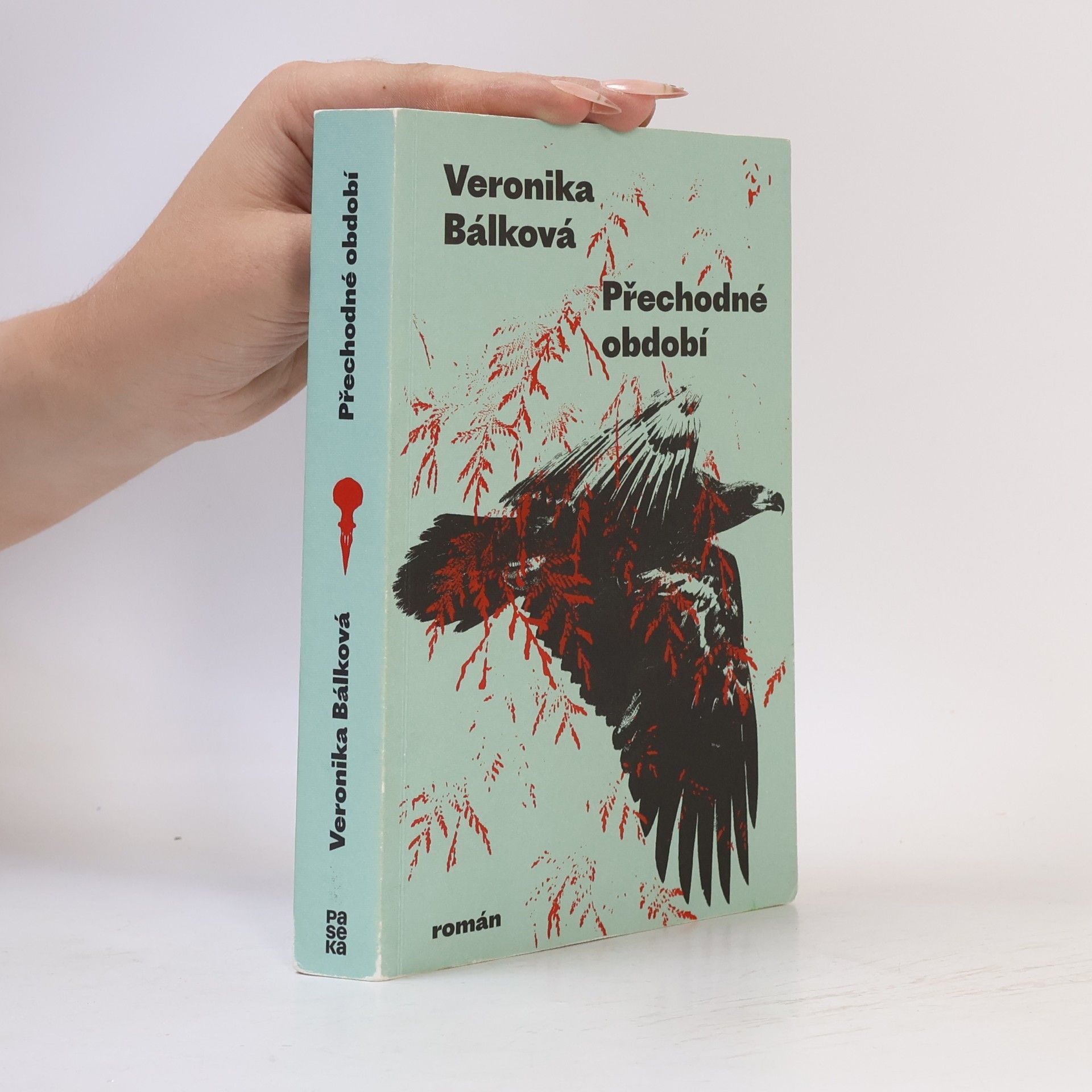 Veronika Bálková Přechodné období