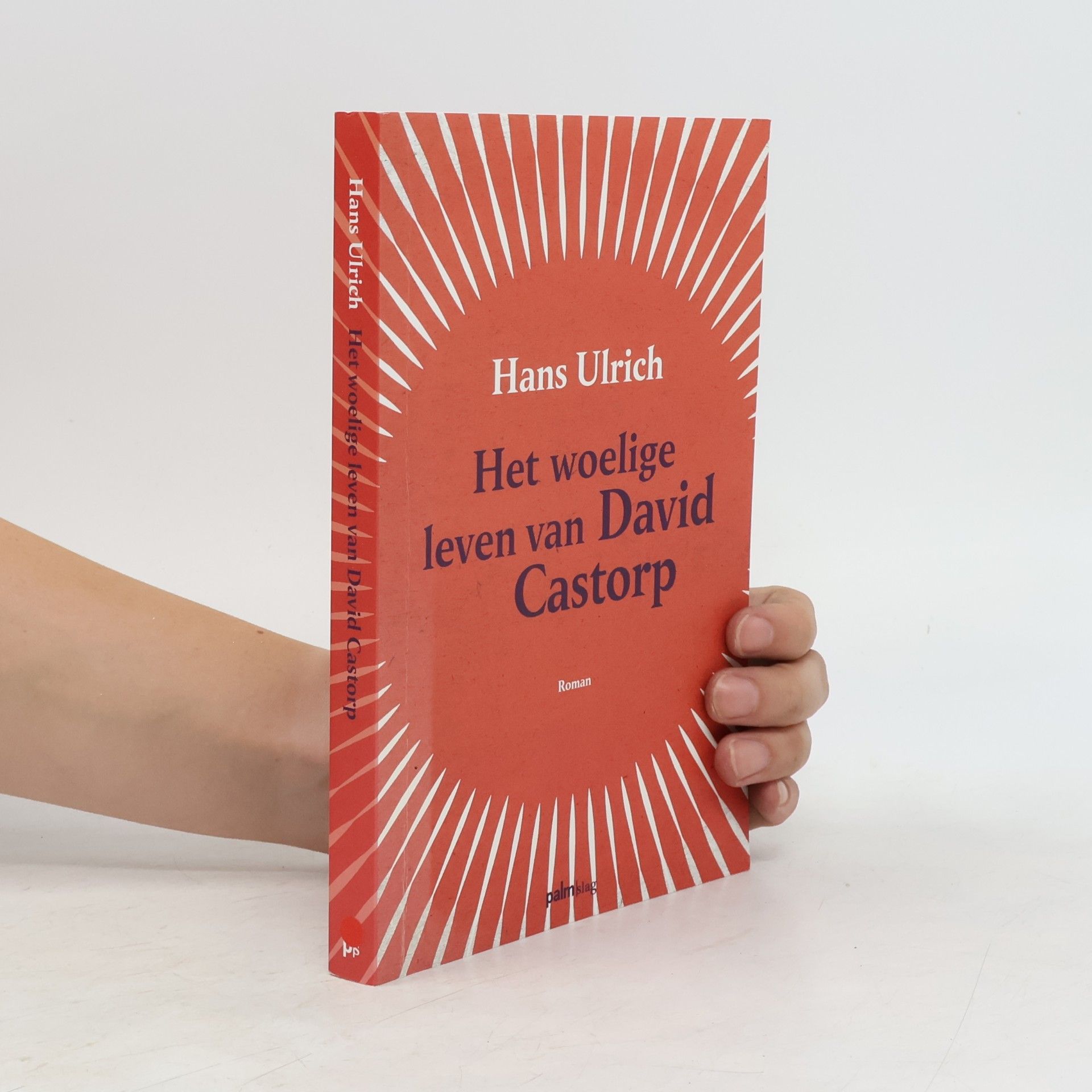 Het woelige leven van David Castorp