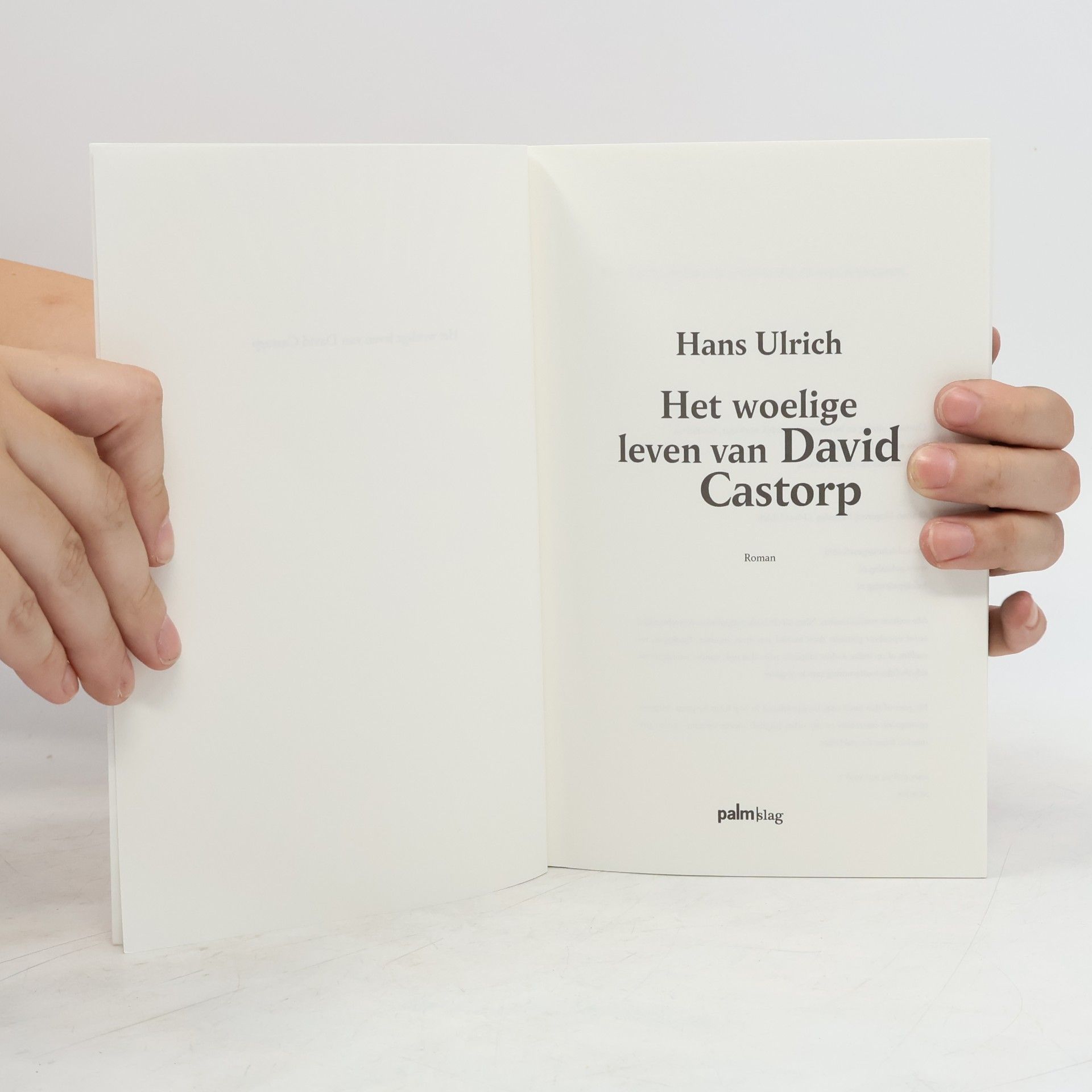 Hans Ulrich Het woelige leven van David Castorp