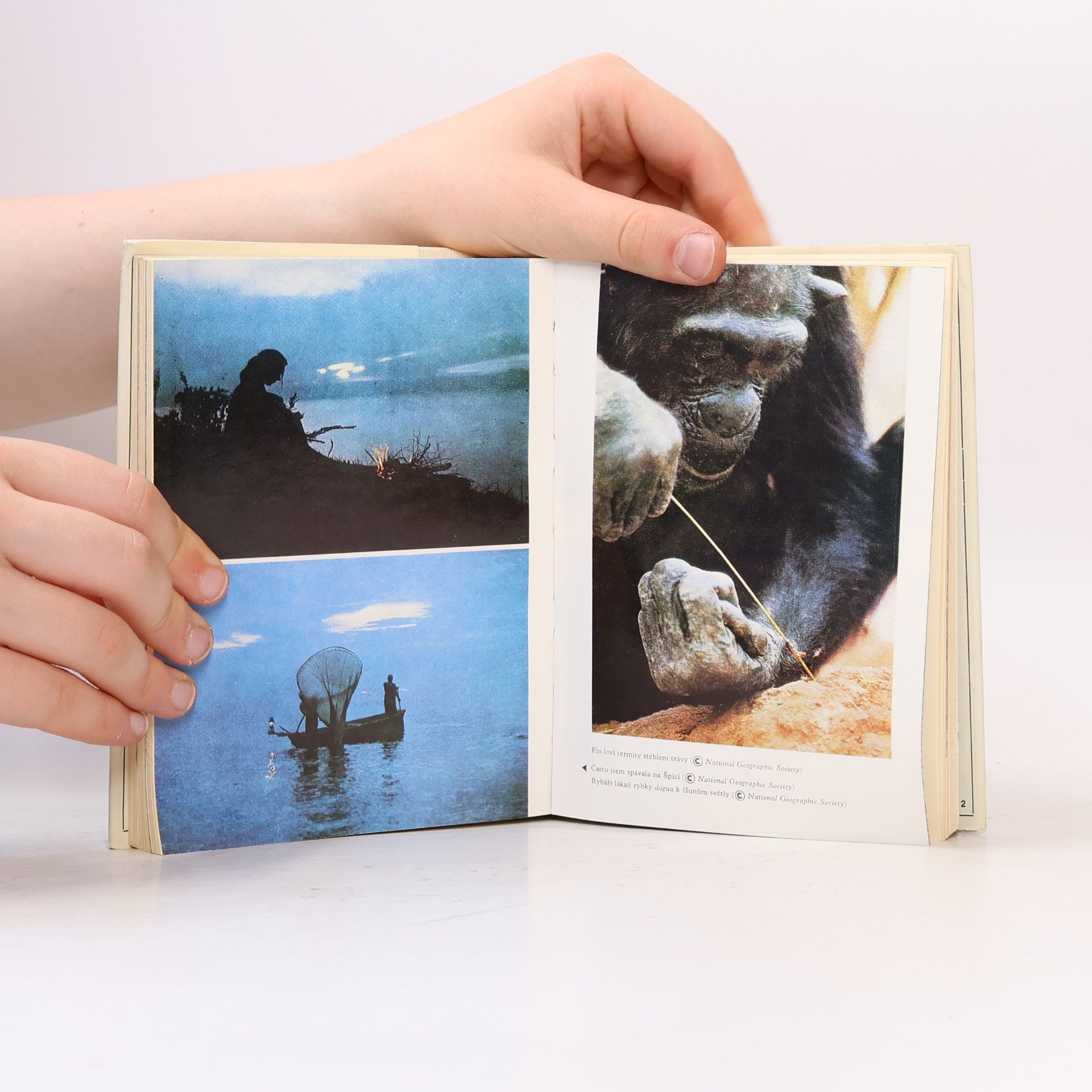 Jane Goodall Ve stínu člověka