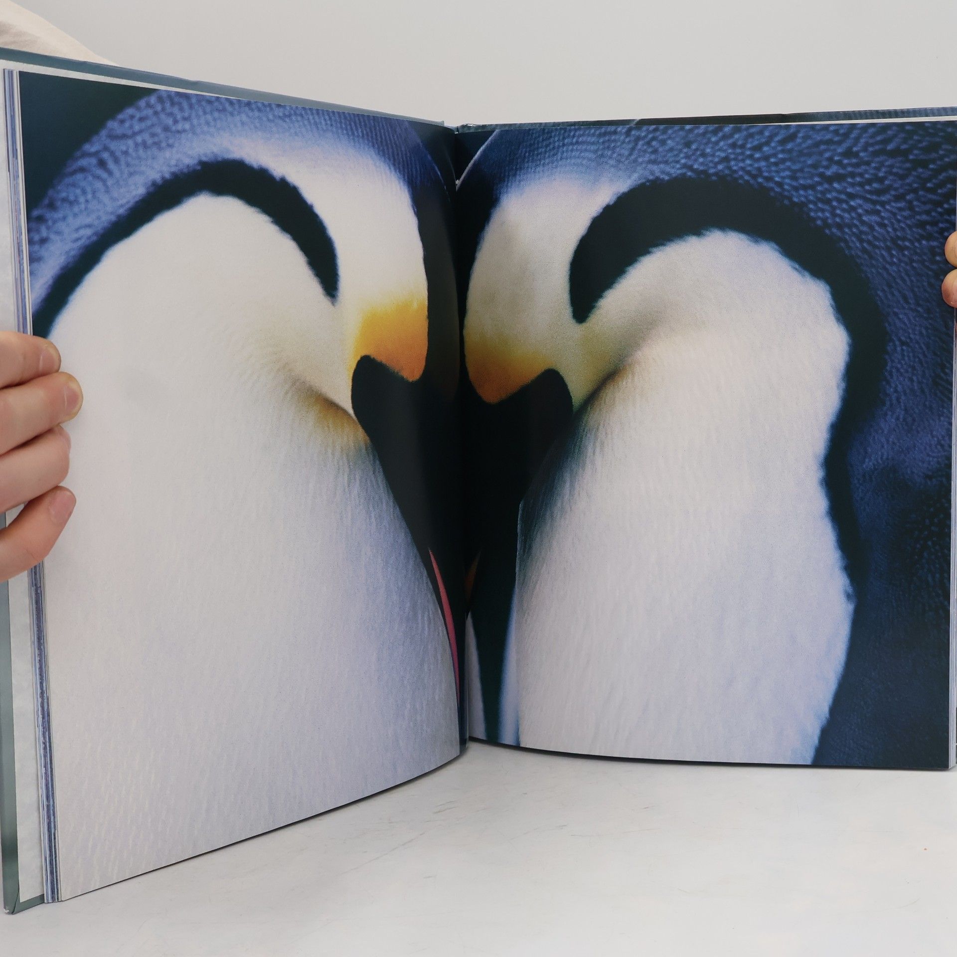 Luc Jacquet March of the Penguins