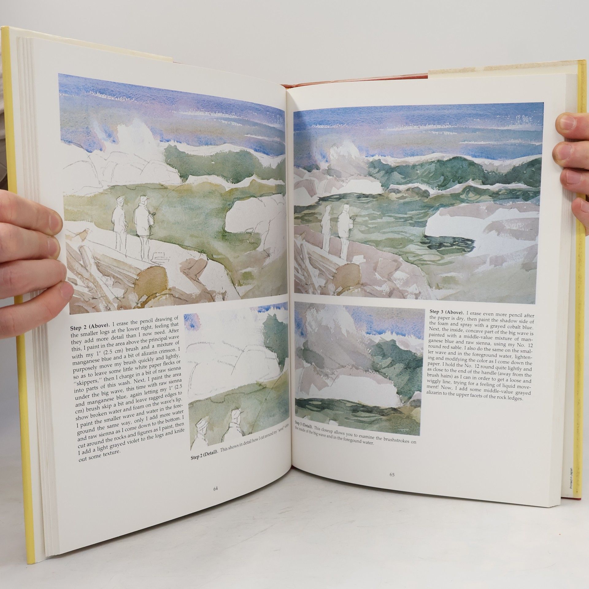 Tom Hill  The Watercolor Painter's Problem Book