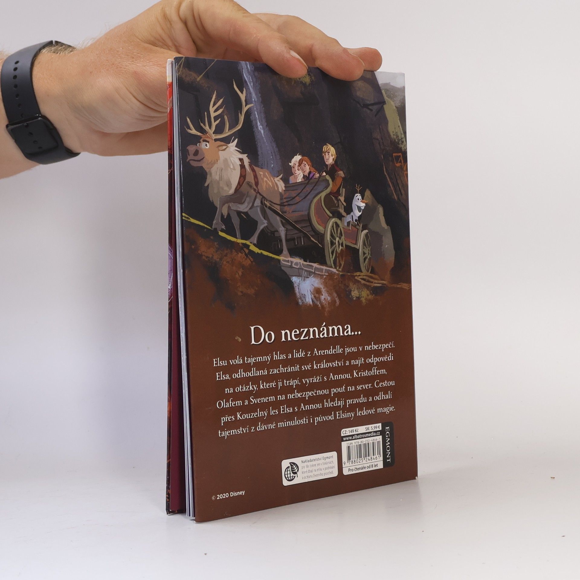 Kolektiv autorů Ledové království II