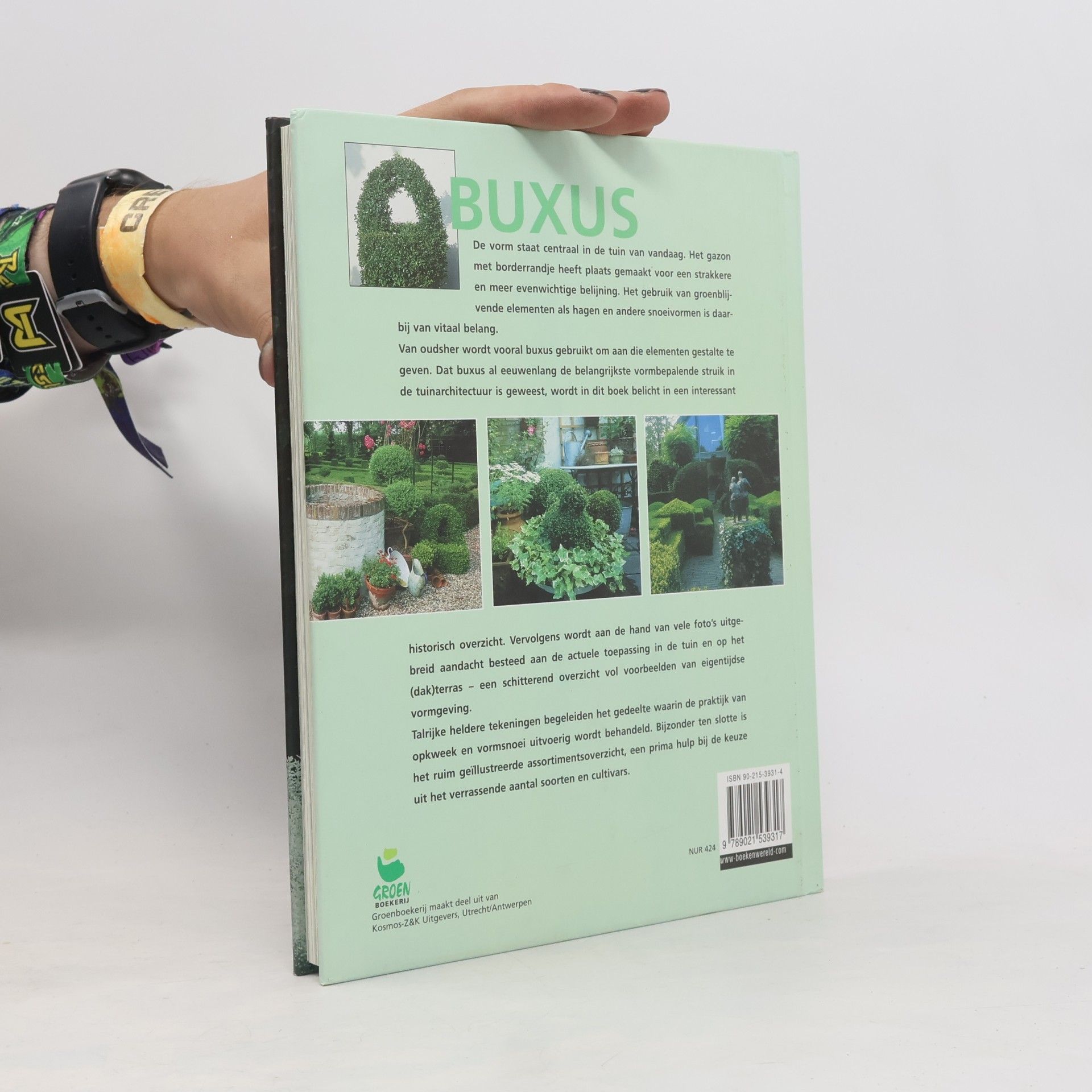Ireen Schmid Handboek Buxus