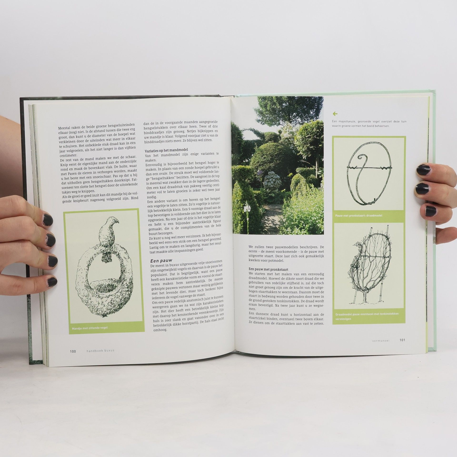 Ireen Schmid Handboek Buxus