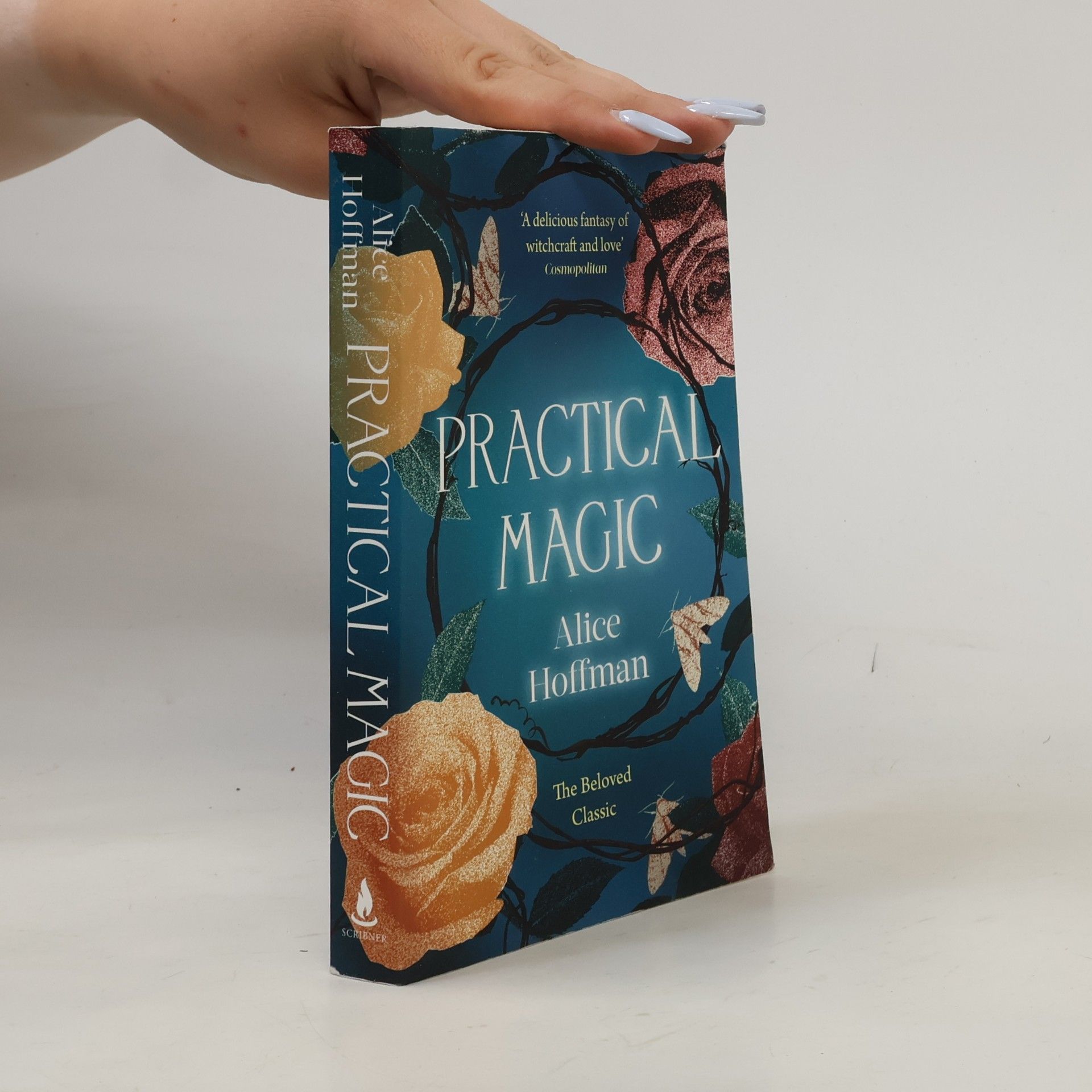 Alice Hoffman Practical magic