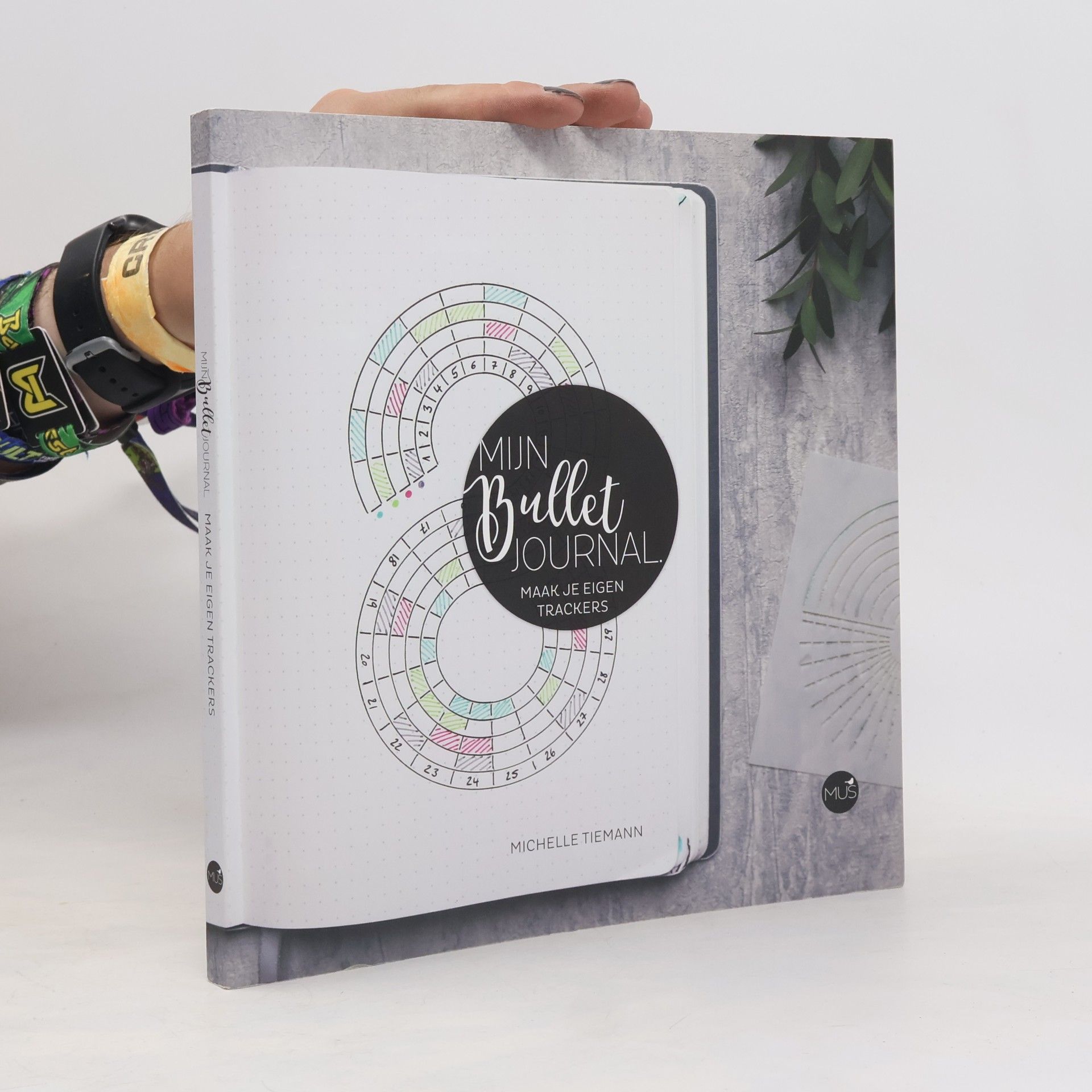 Michelle Tiemann Mijn bullet journal