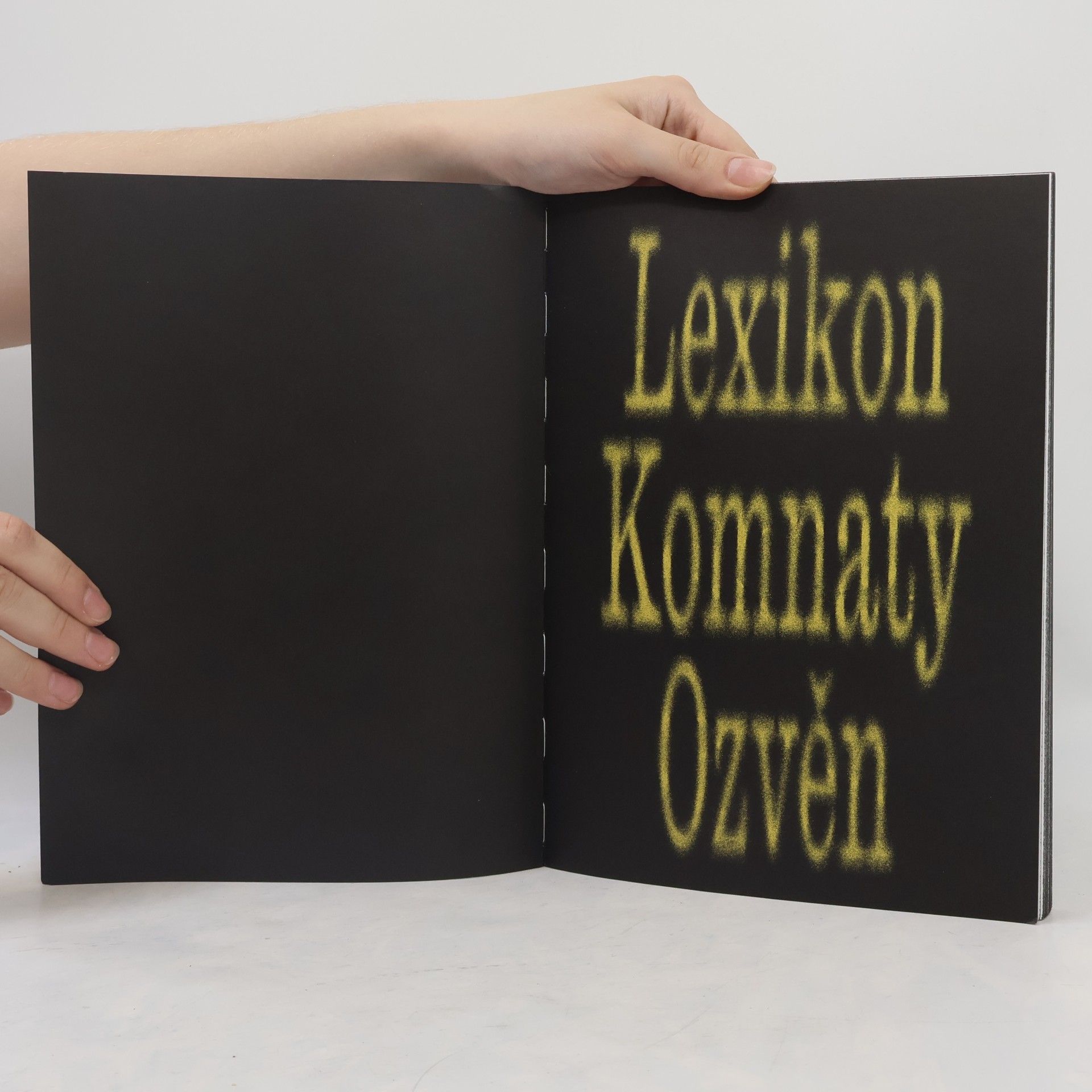 Kolektiv autorů Lexikon Komnaty Ozvěn. Echo Chamber Lexicon