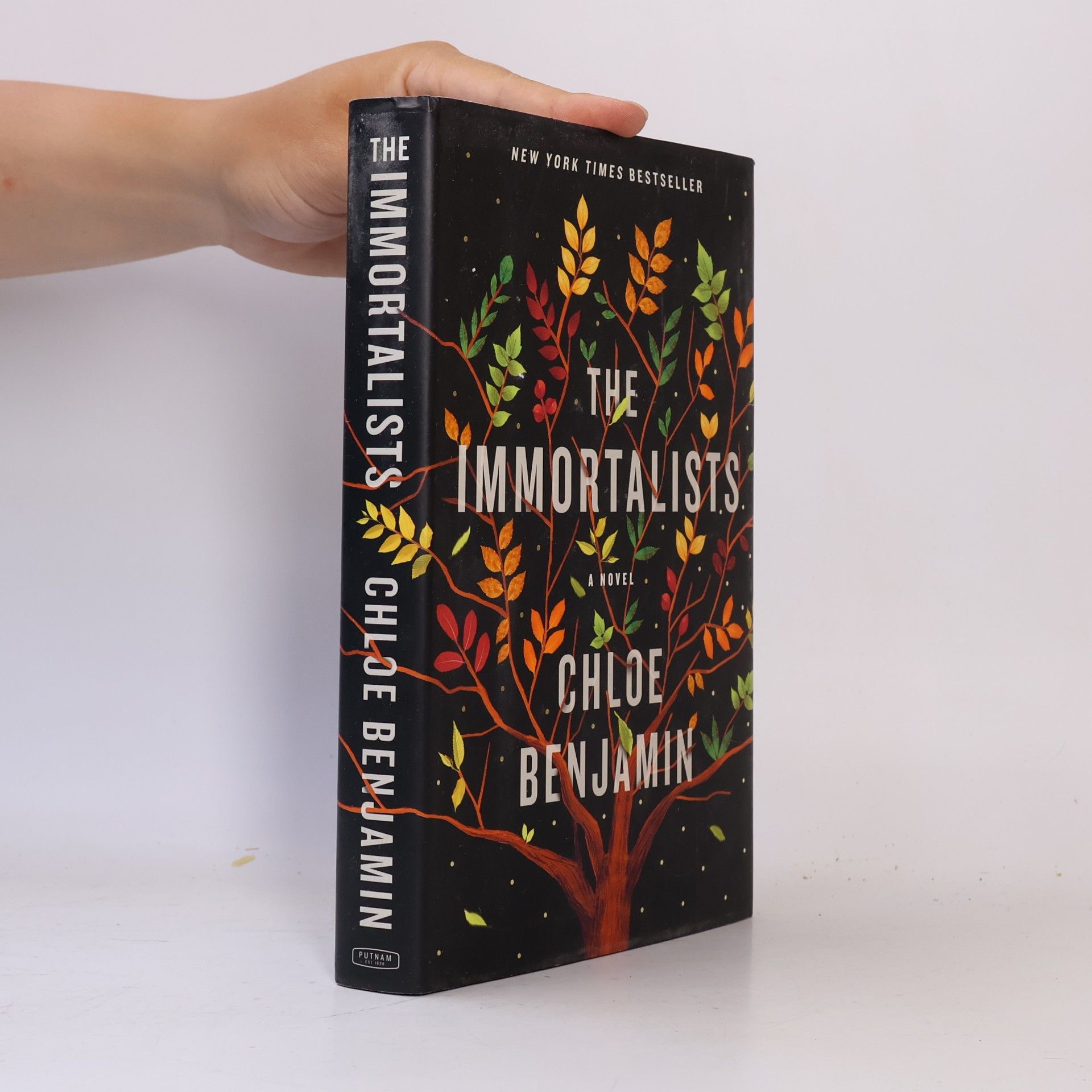 Chloe Benjamin The Immortalists
