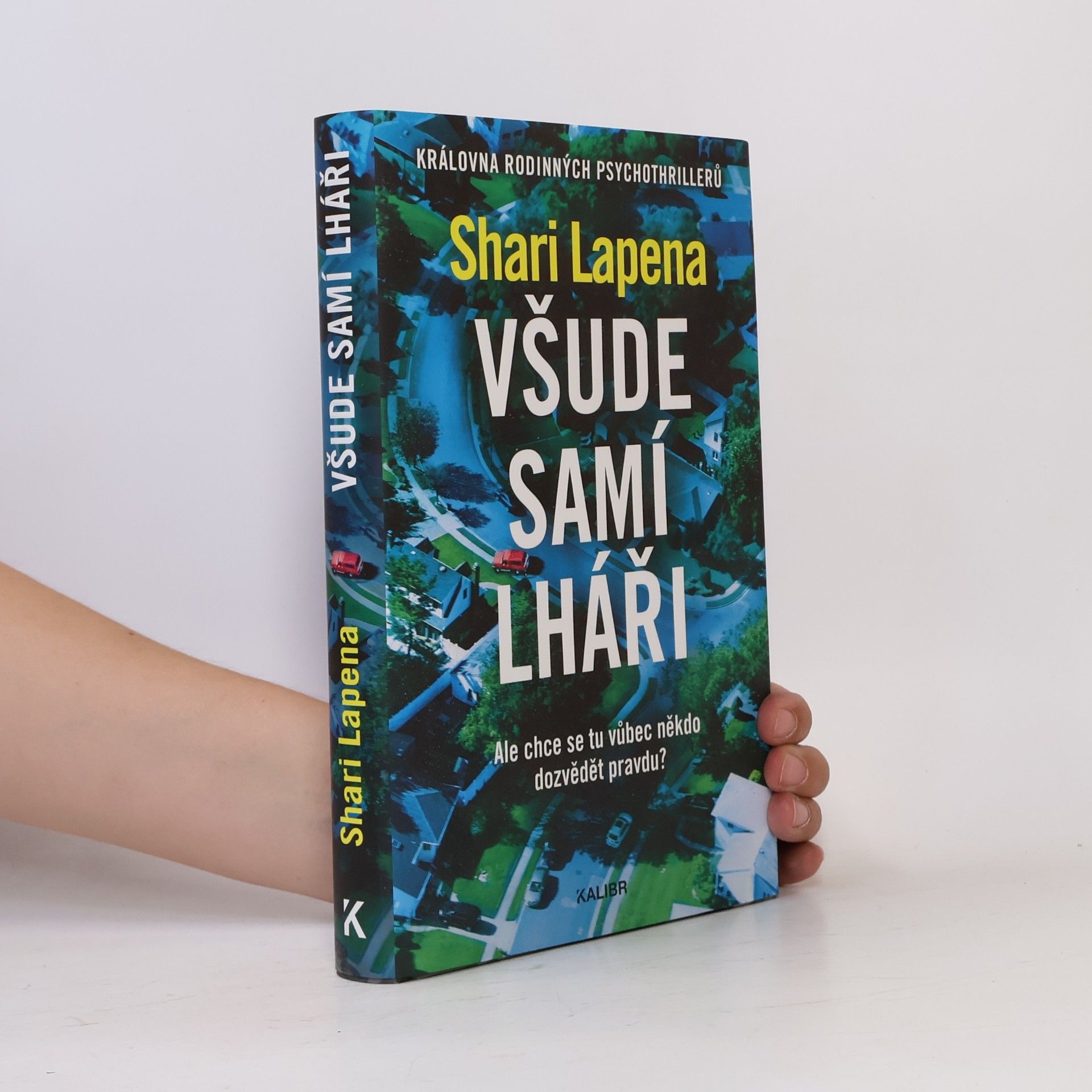 Shari Lapena Všude samí lháři
