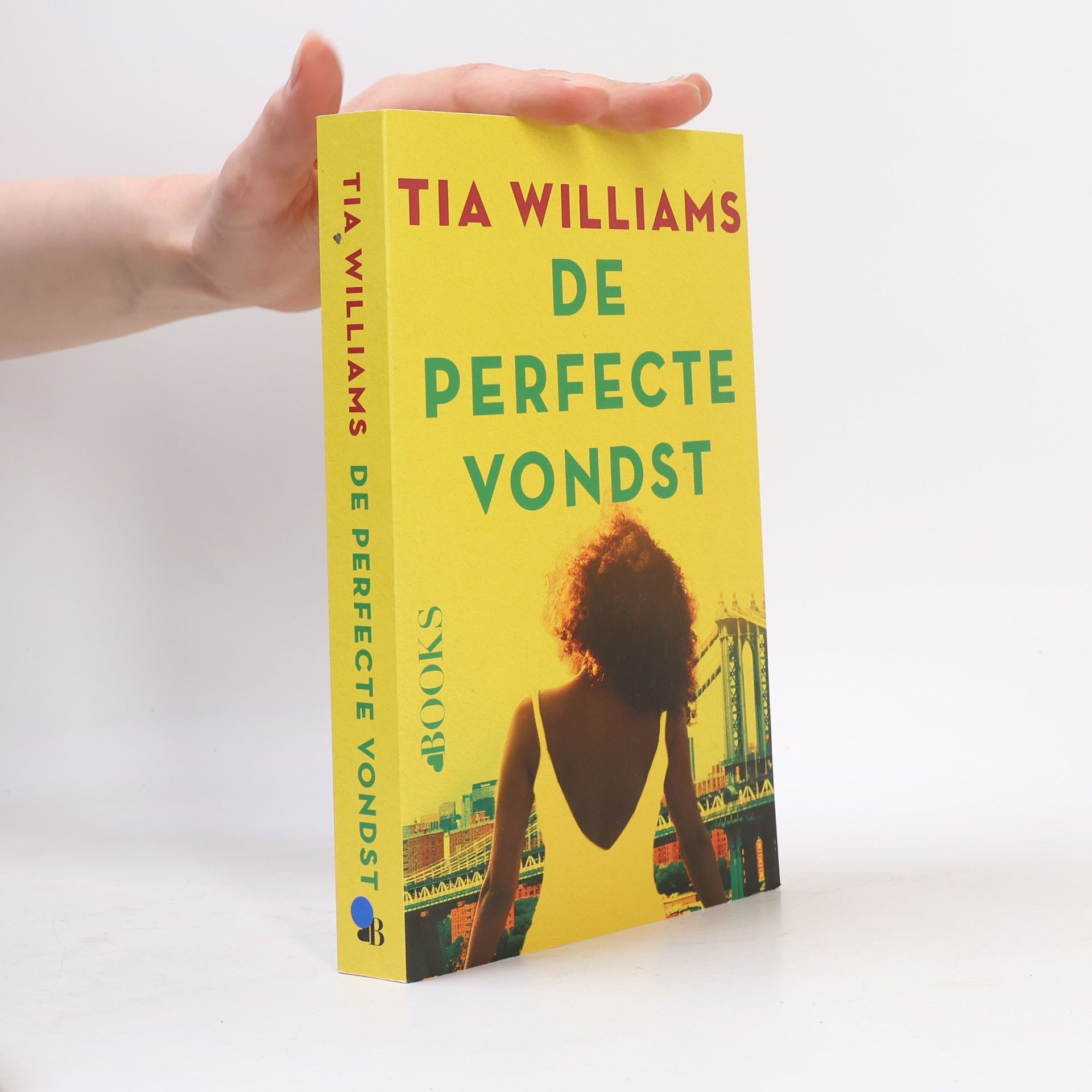 Tia Williams De perfecte vondst