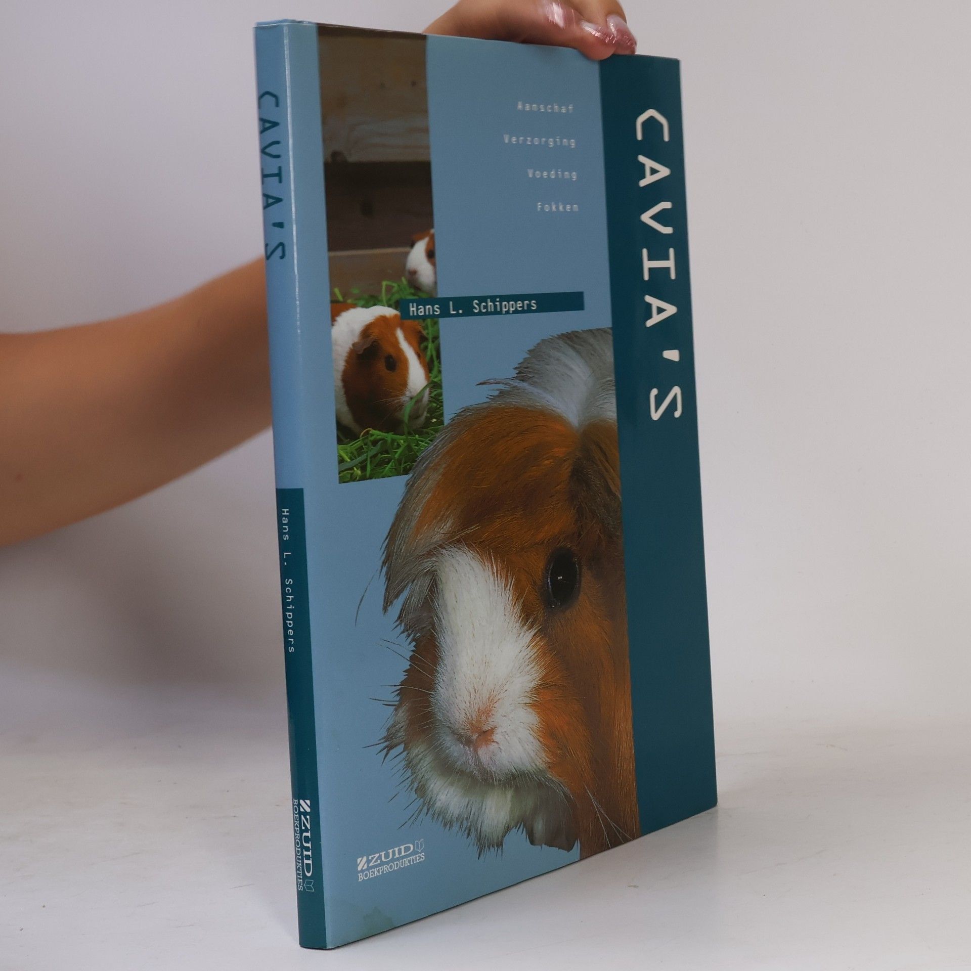 Horst Bielfeld Cavia's