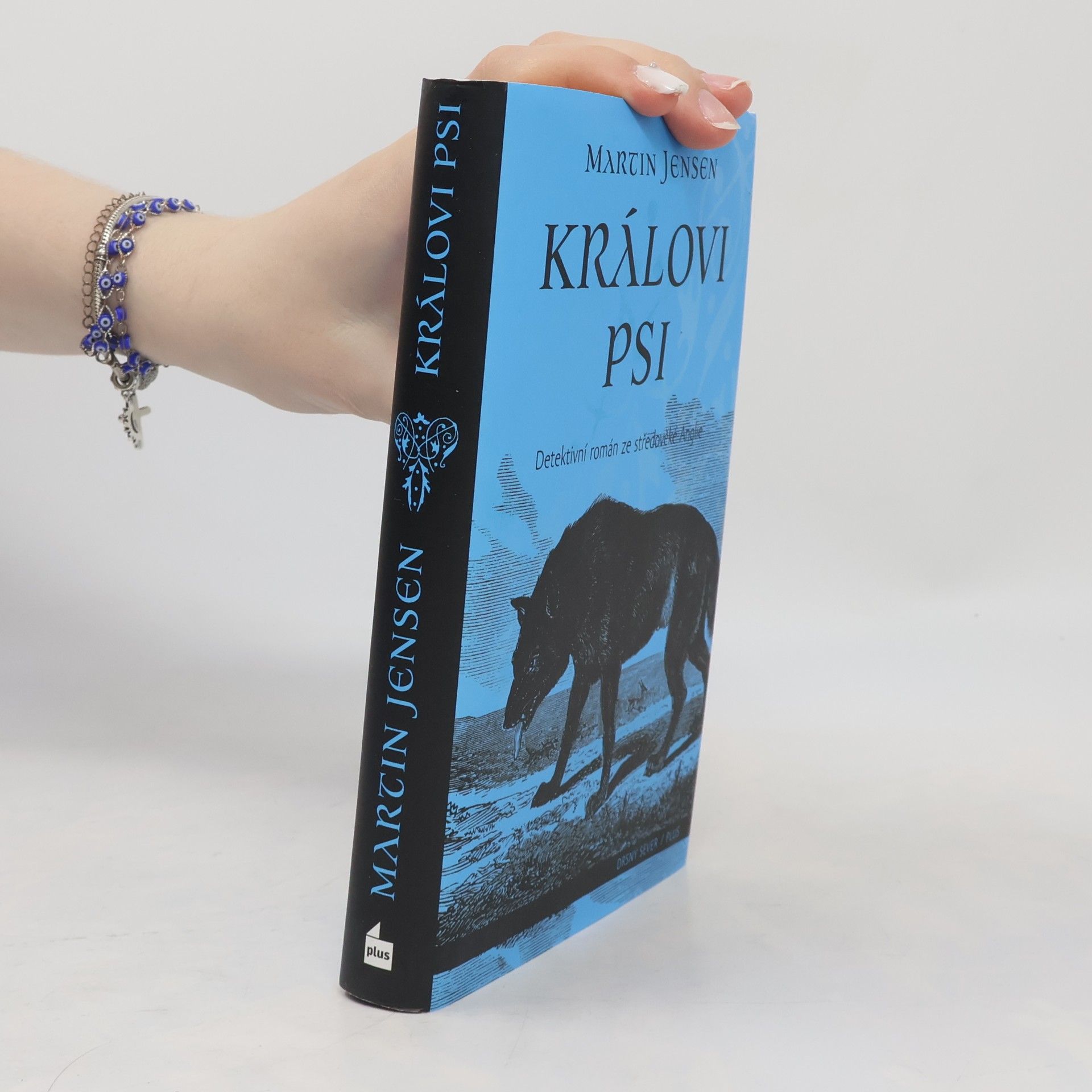 Martin Jensen Královi psi