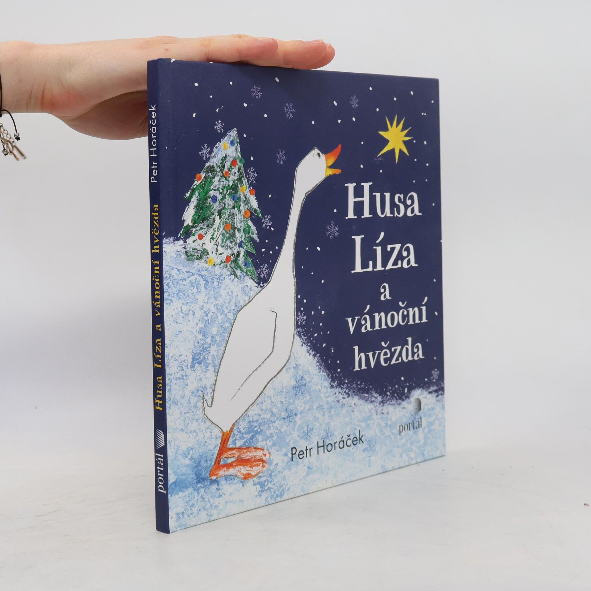 Petr Horáček Husa Líza a vánoční hvězda