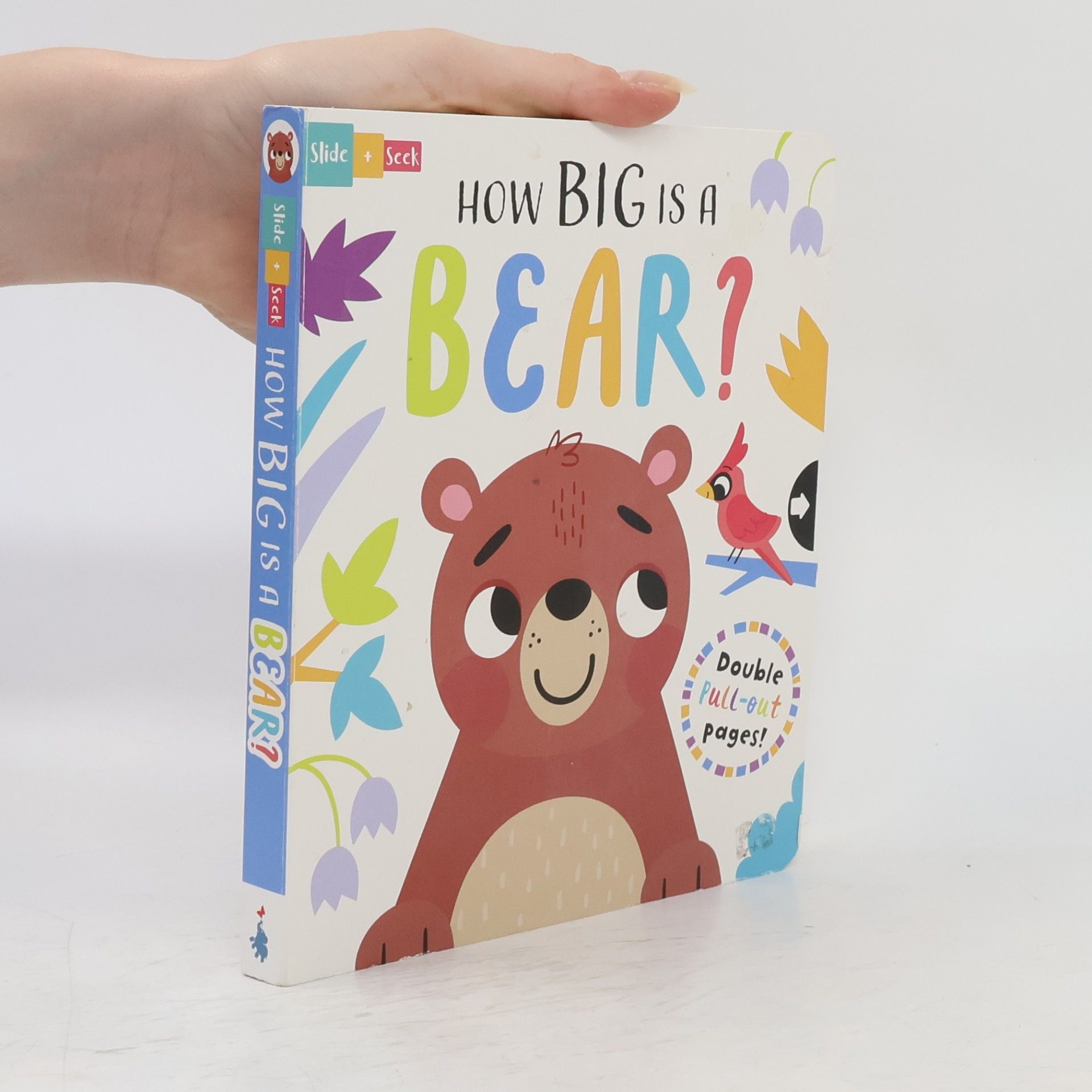 Sarah Wade Slide and Seek: How Big Is a Bear?