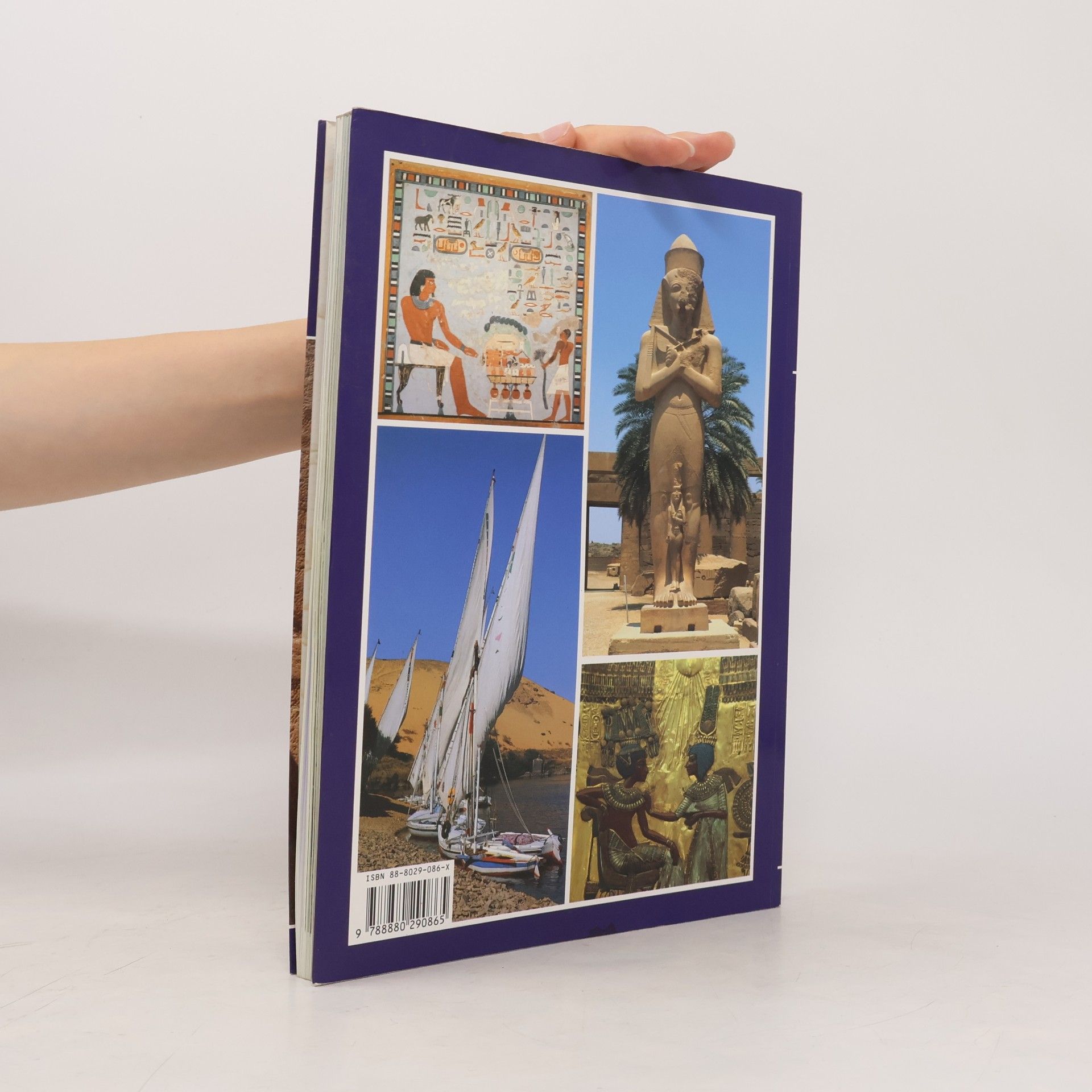 Alberto Carlo Carpiceci Art and History of Egypt