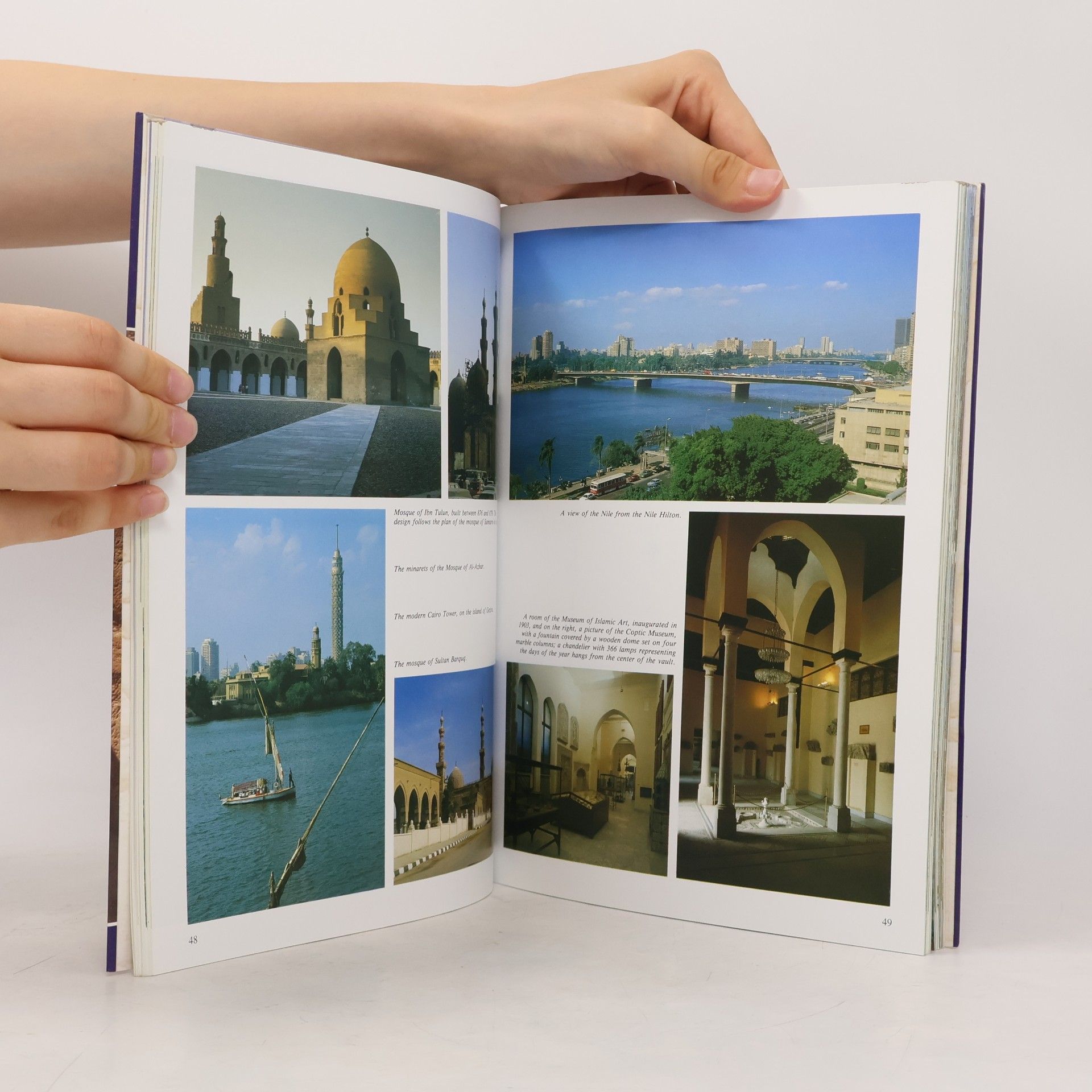 Alberto Carlo Carpiceci Art and History of Egypt