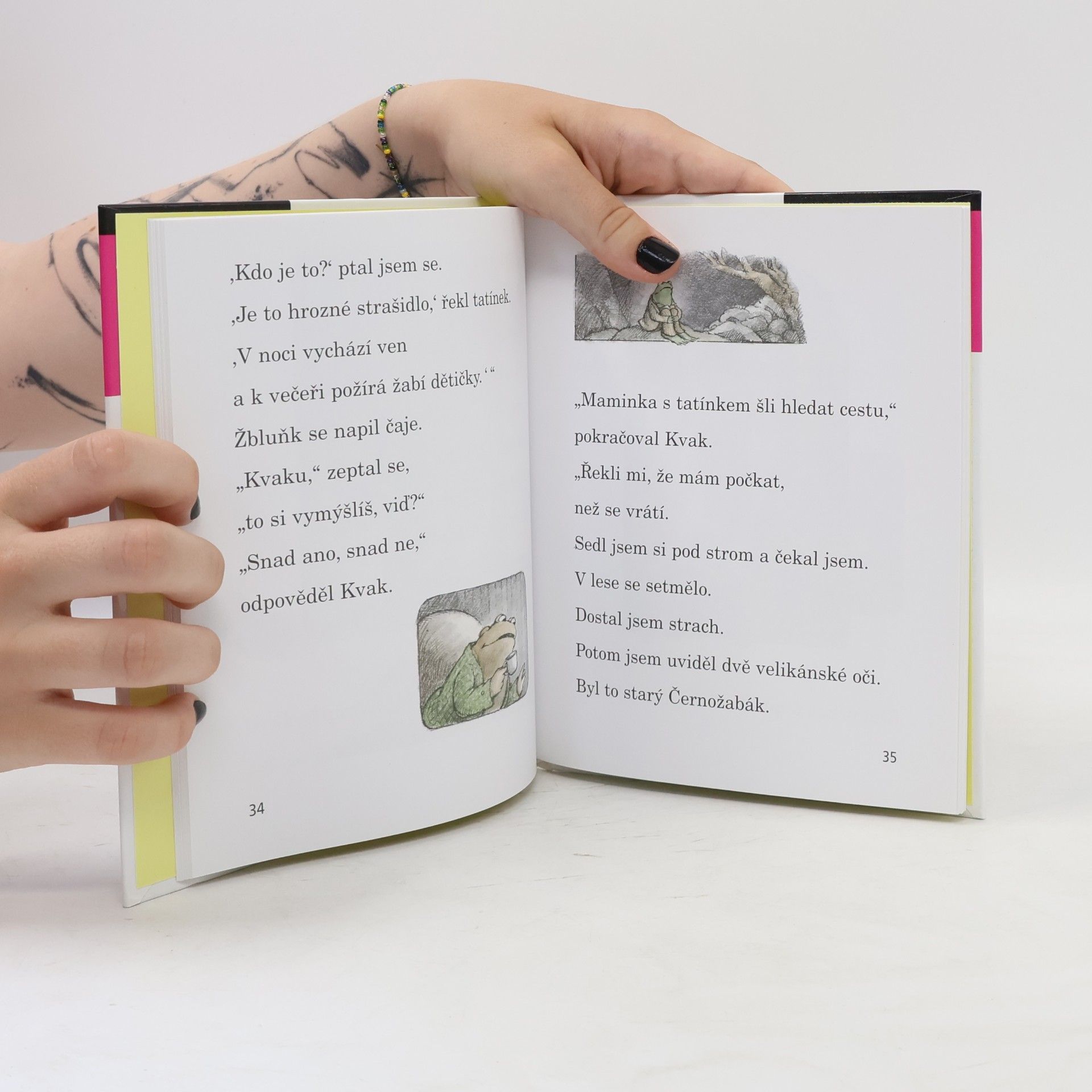 Arnold Lobel Kvak a Žbluňk se bojí rádi