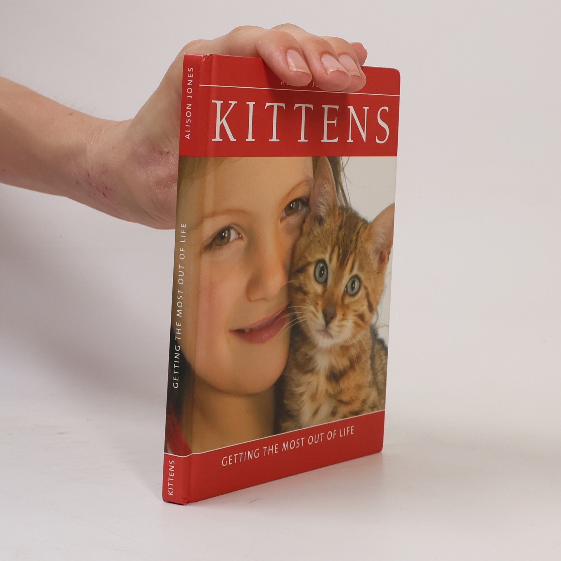 Alison Jones Kittens
