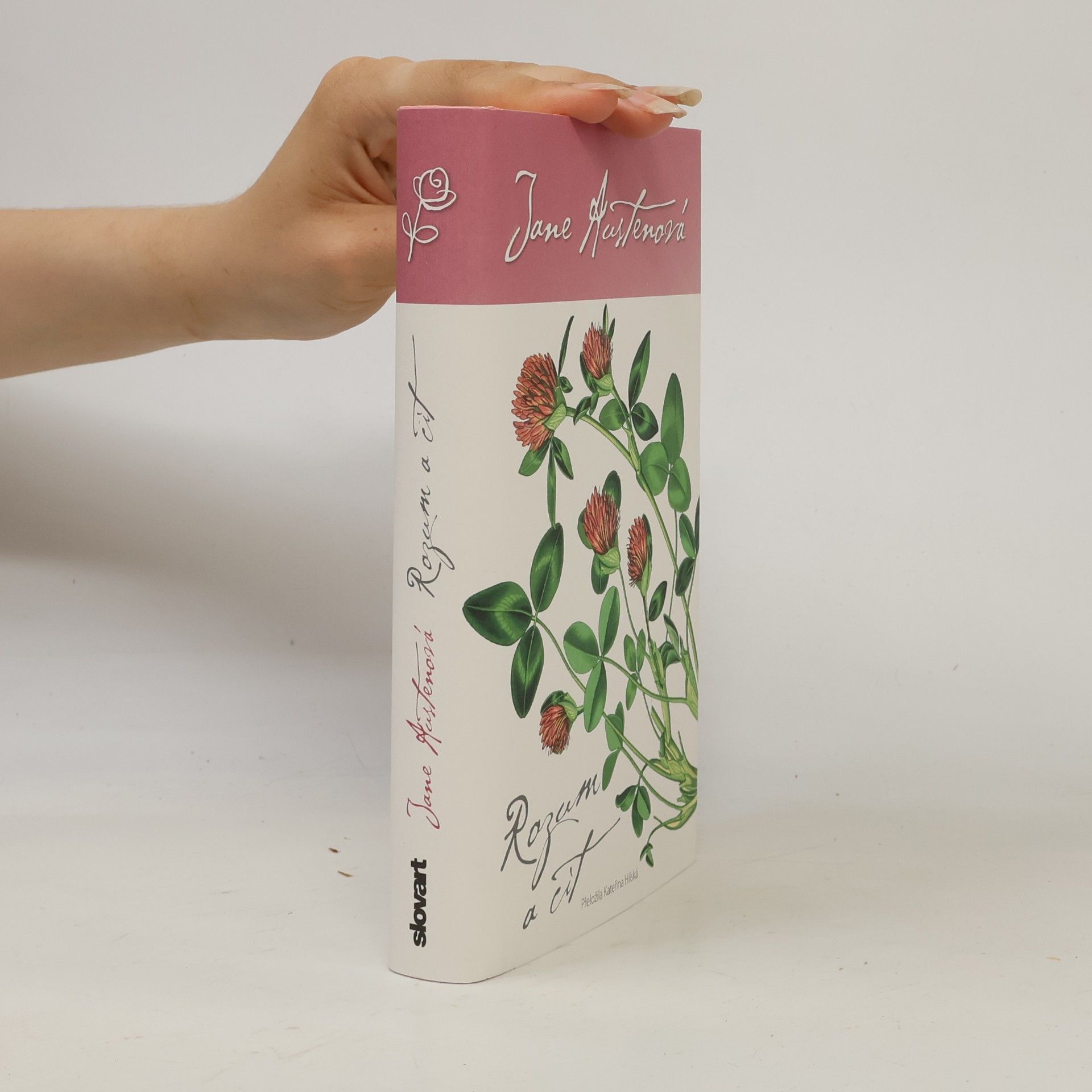 Jane Austen Rozum a cit