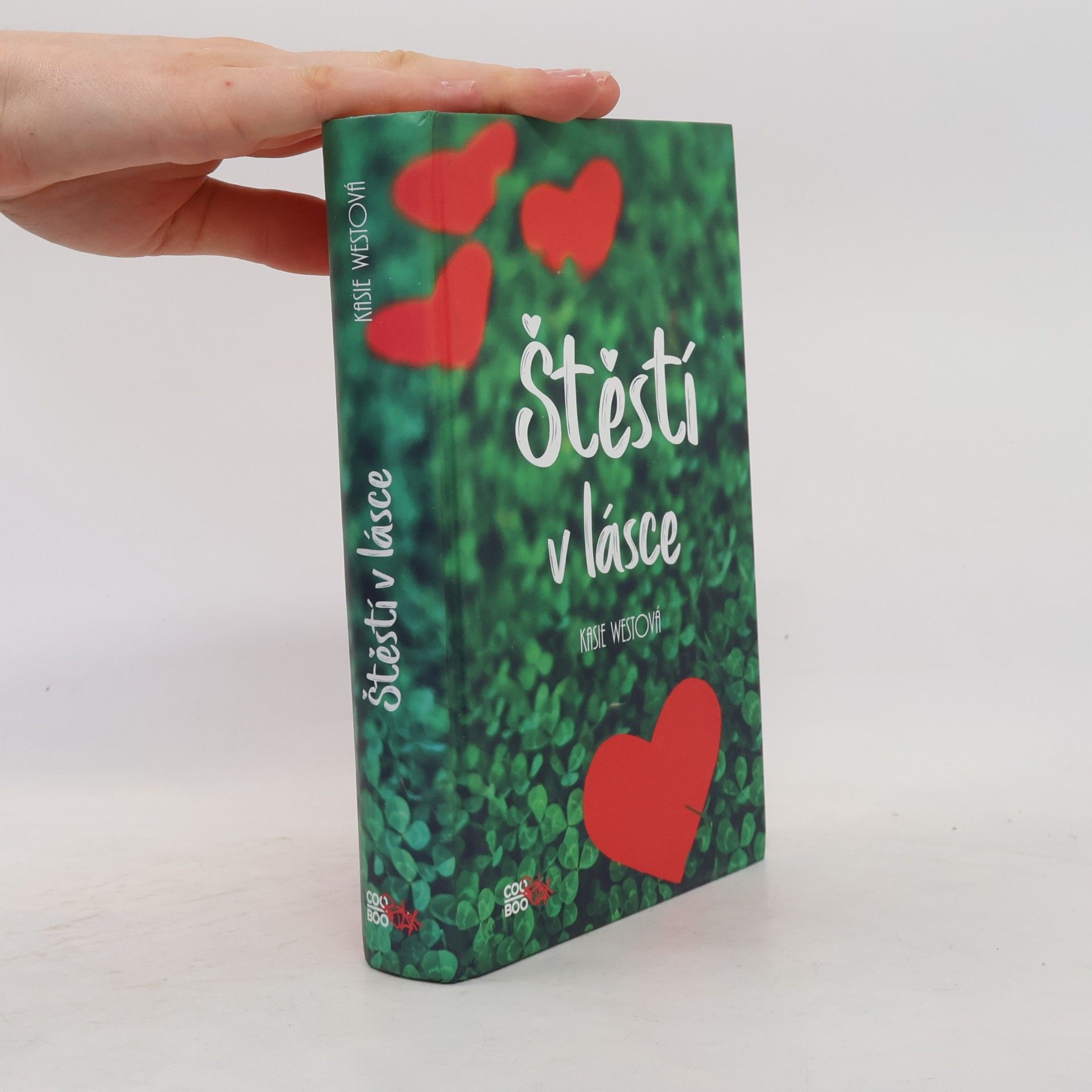 Kasie West Štěstí v lásce