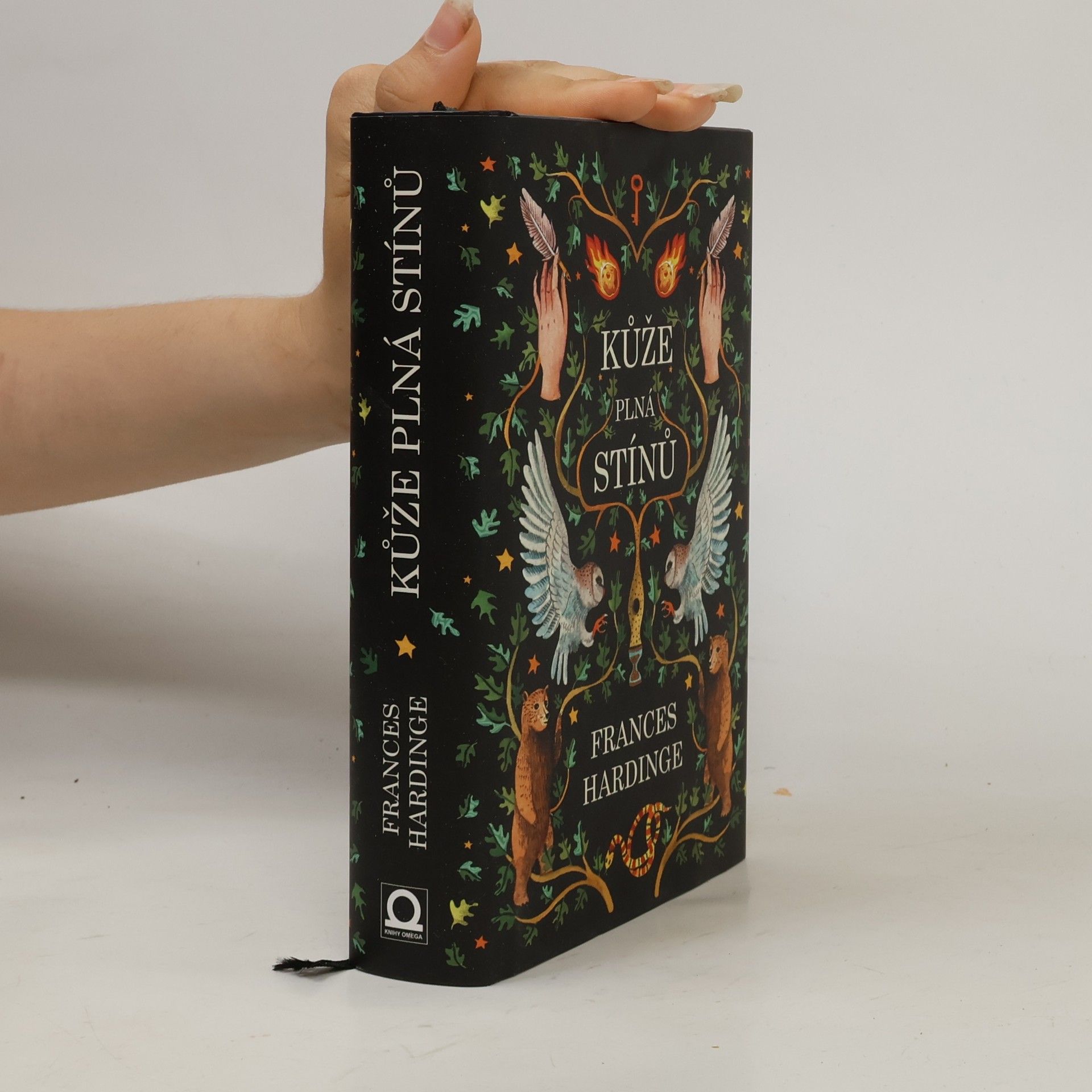 Frances Hardinge Kůže plná stínů