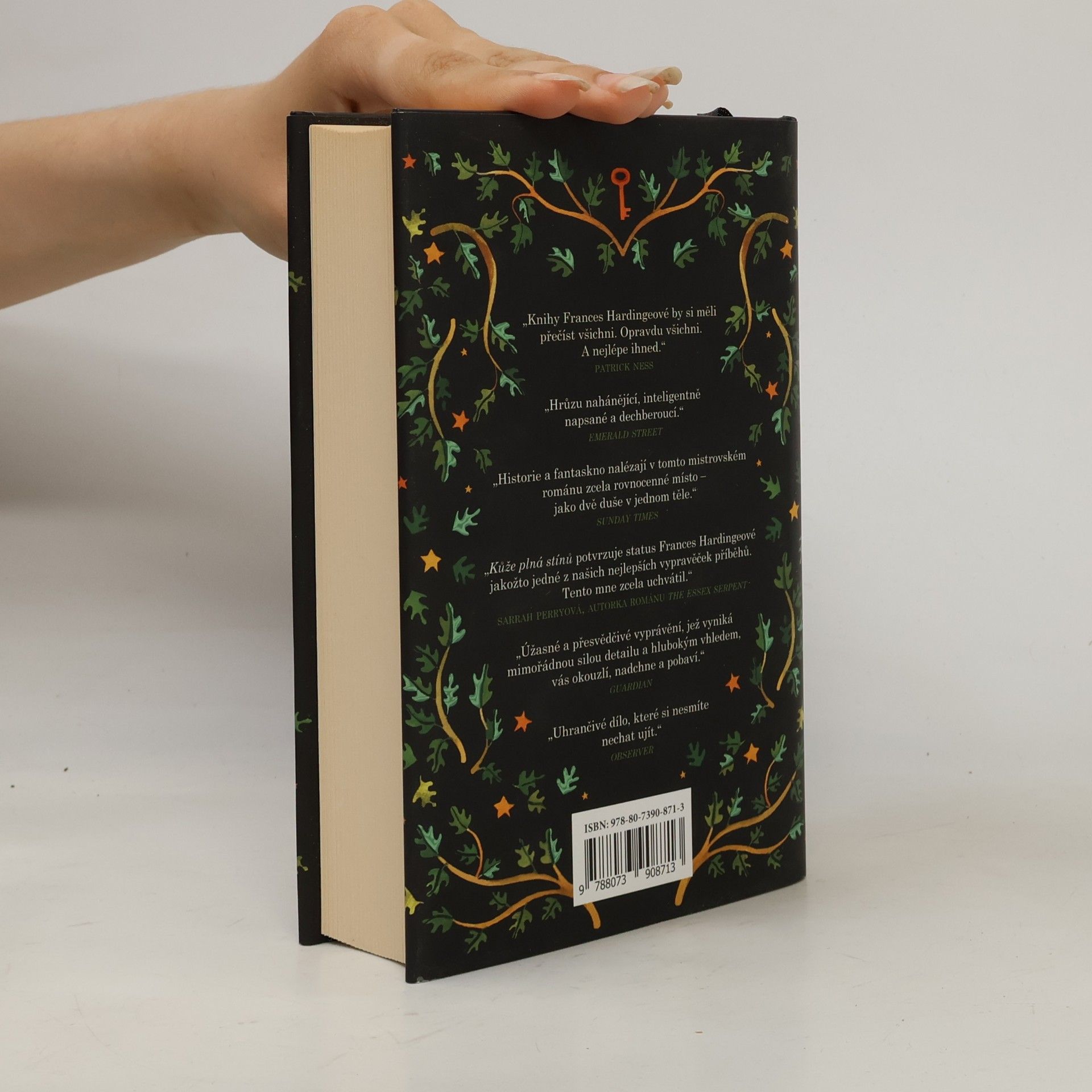 Frances Hardinge Kůže plná stínů