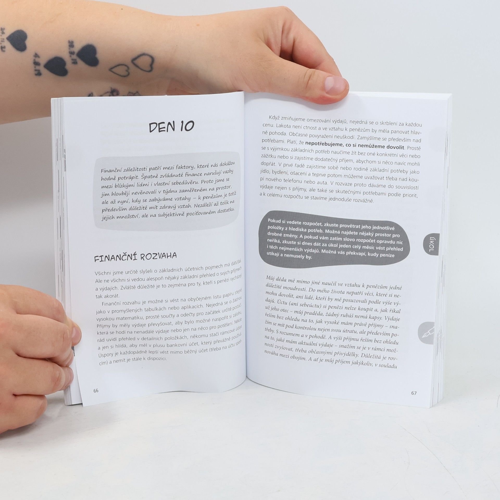 Michaela Dombrovská Pořádek nejen v hlavě. 28 dní pro jednodušší život