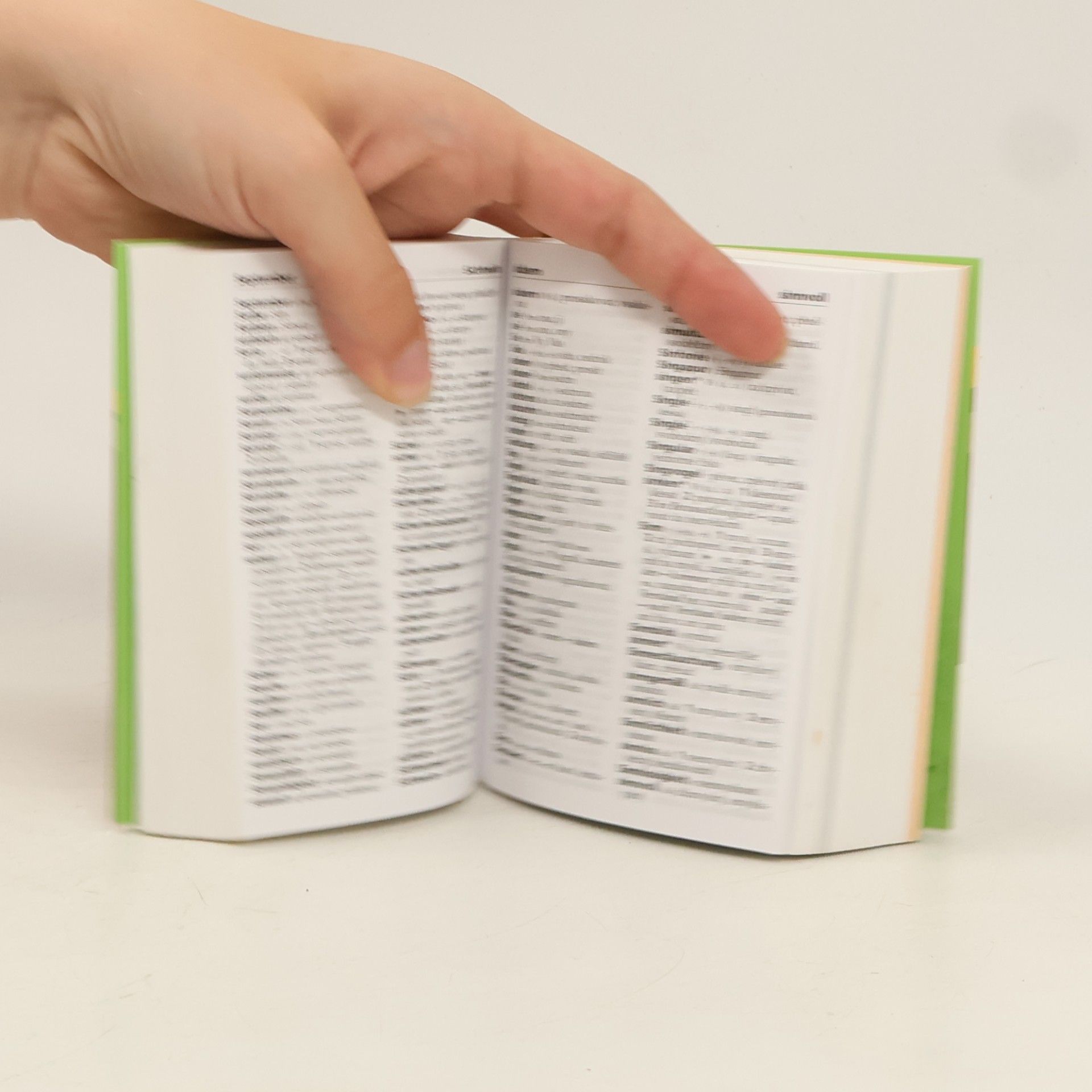 Autorenkollektiv Německo-český, česko-německý kapesní slovník