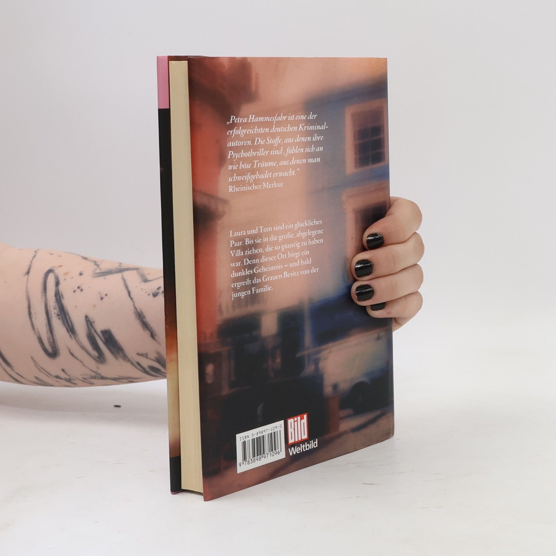 Petra Hammesfahr Das Geheimnis der Puppe