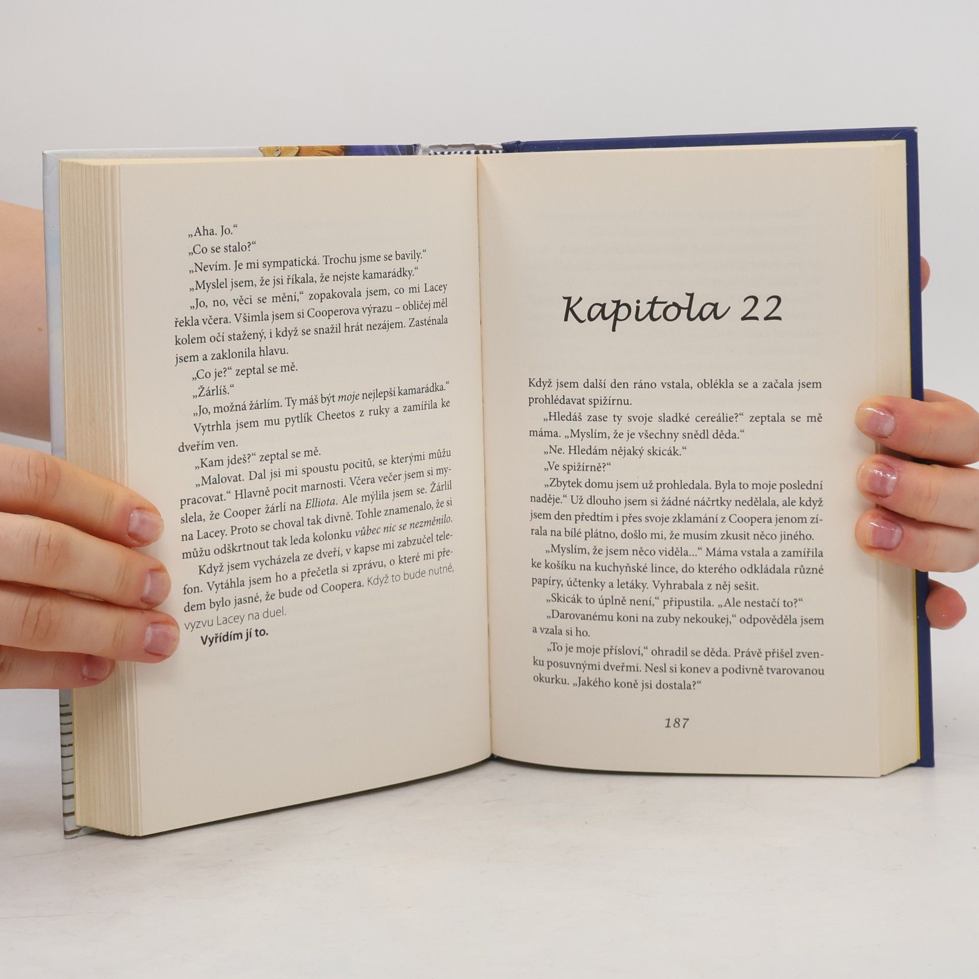 Kasie West Láska a jiné úkoly