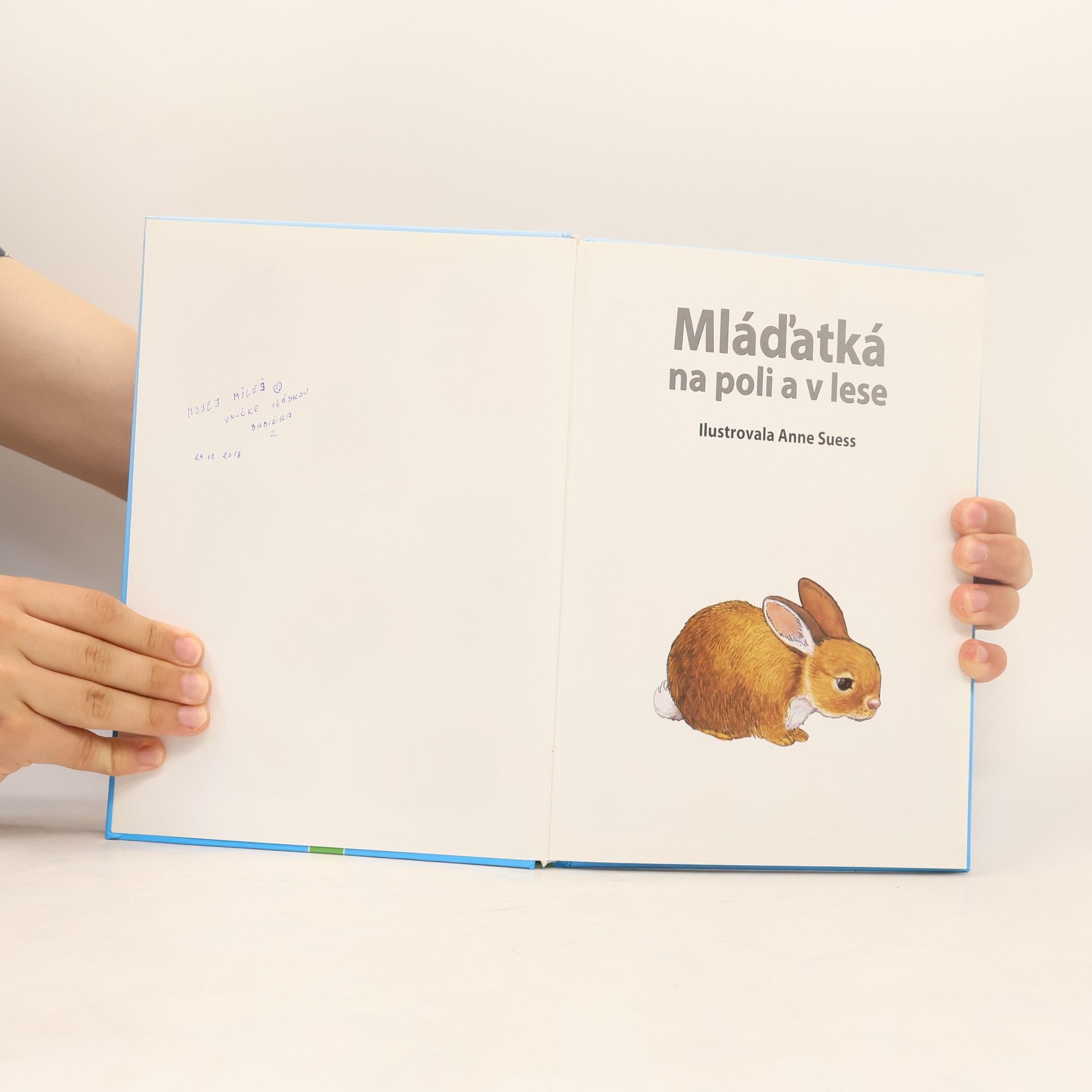 Jan Šindelka Mláďátka na poli a v lese
