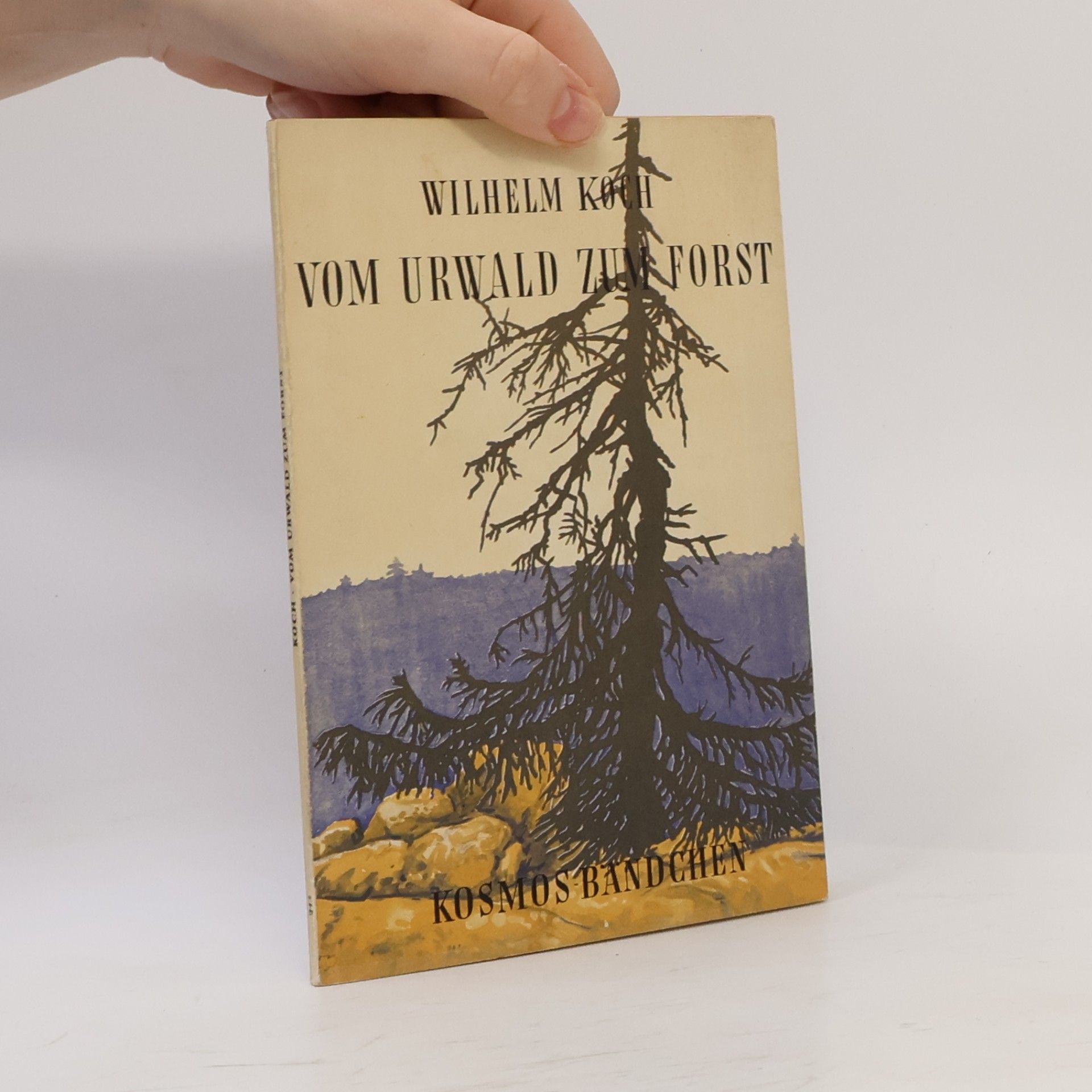 Vom Urwald zum Forst
