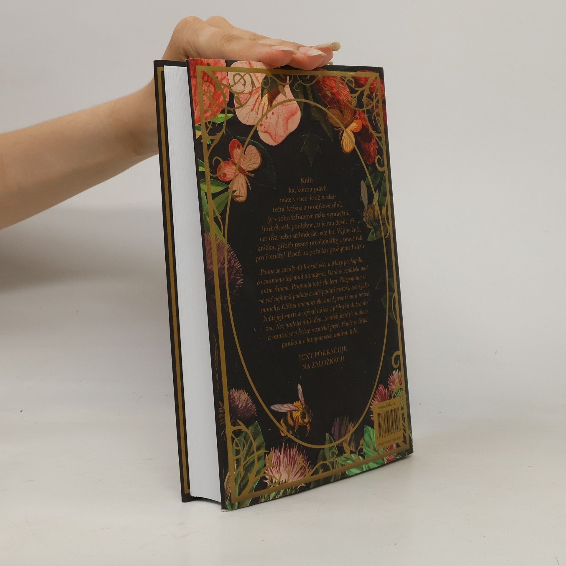 Frances Hodgson Burnett Tajemná zahrada