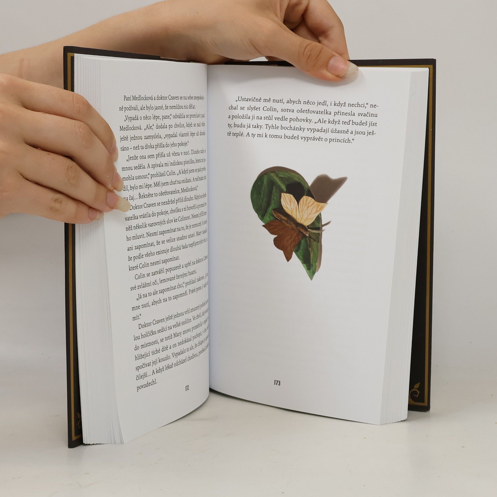 Frances Hodgson Burnett Tajemná zahrada
