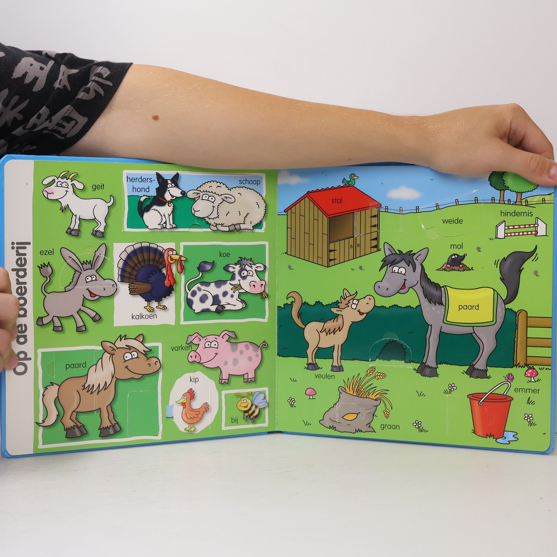 Woordjes leren met prettige prenten & grappige flapjes