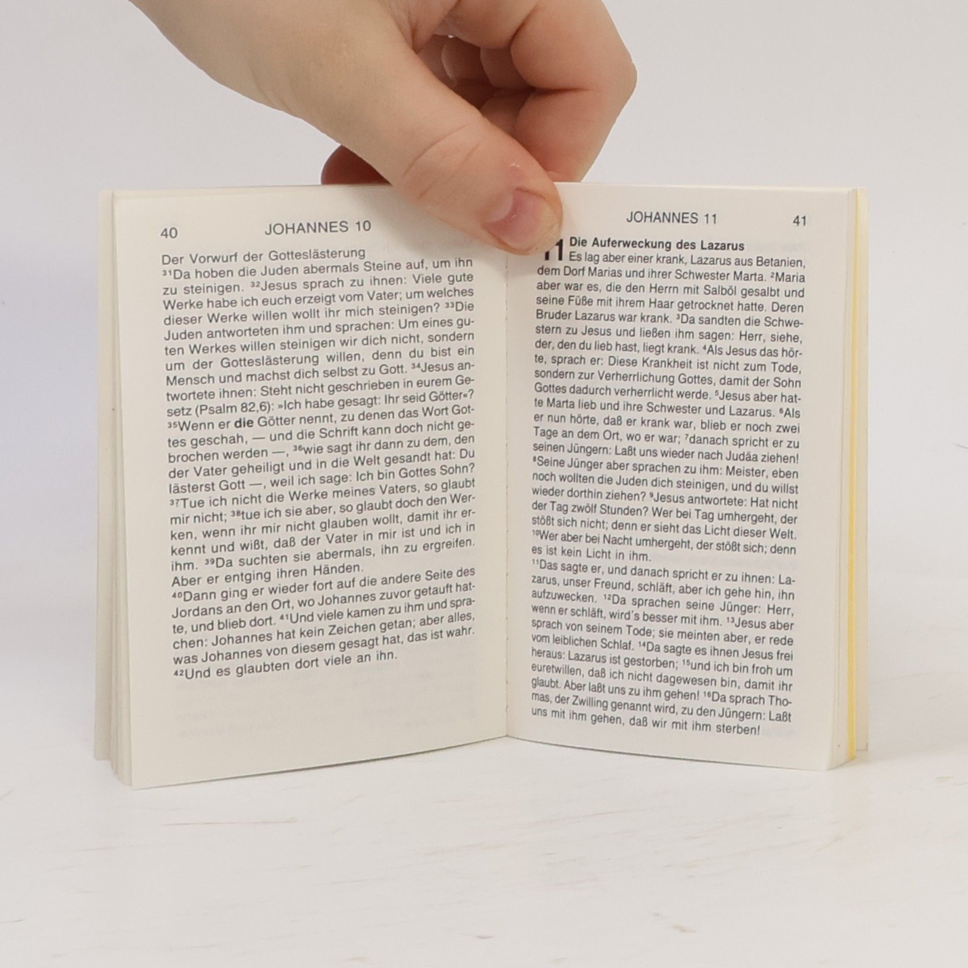 Autorenkollektiv Licht des Lebens