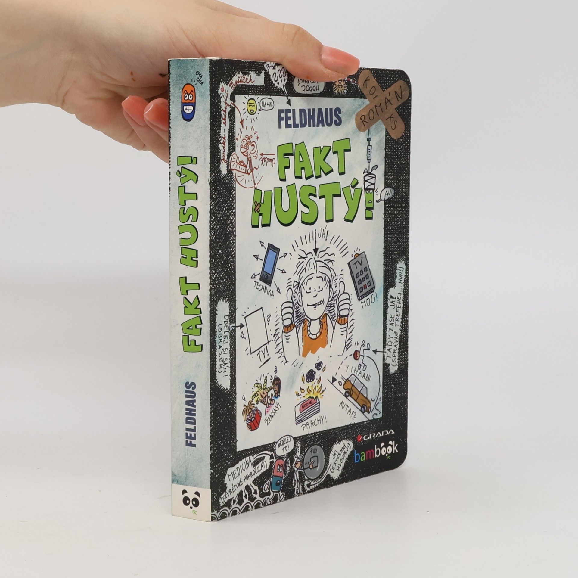 Hans-Jürgen Feldhaus Fakt hustý! Komiksový román